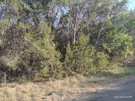 1011 Comanche Cove Drive Granbury TX 76048