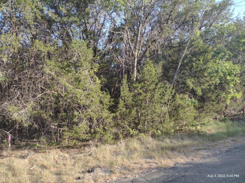 1011 Comanche Cove Drive Granbury TX 76048