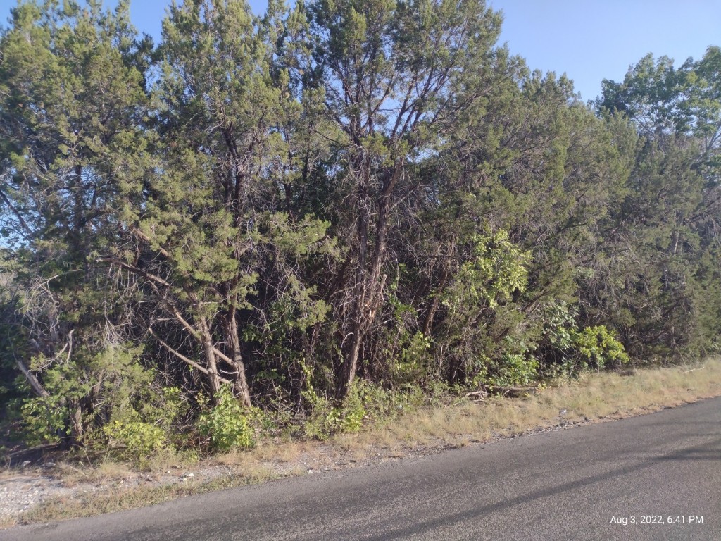 1011 Comanche Cove Drive Granbury TX 76048