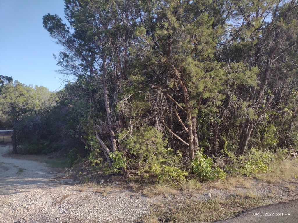1011 Comanche Cove Drive Granbury TX 76048