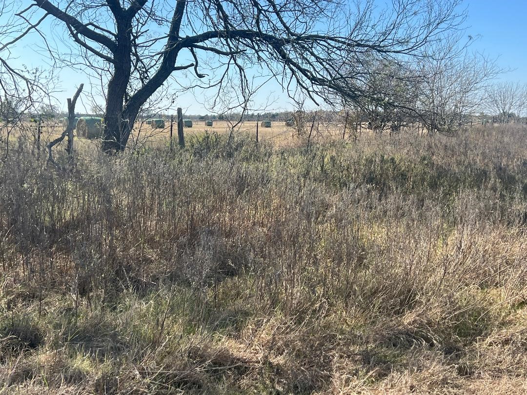 0000 Lcr 454 Groesbeck TX 76642