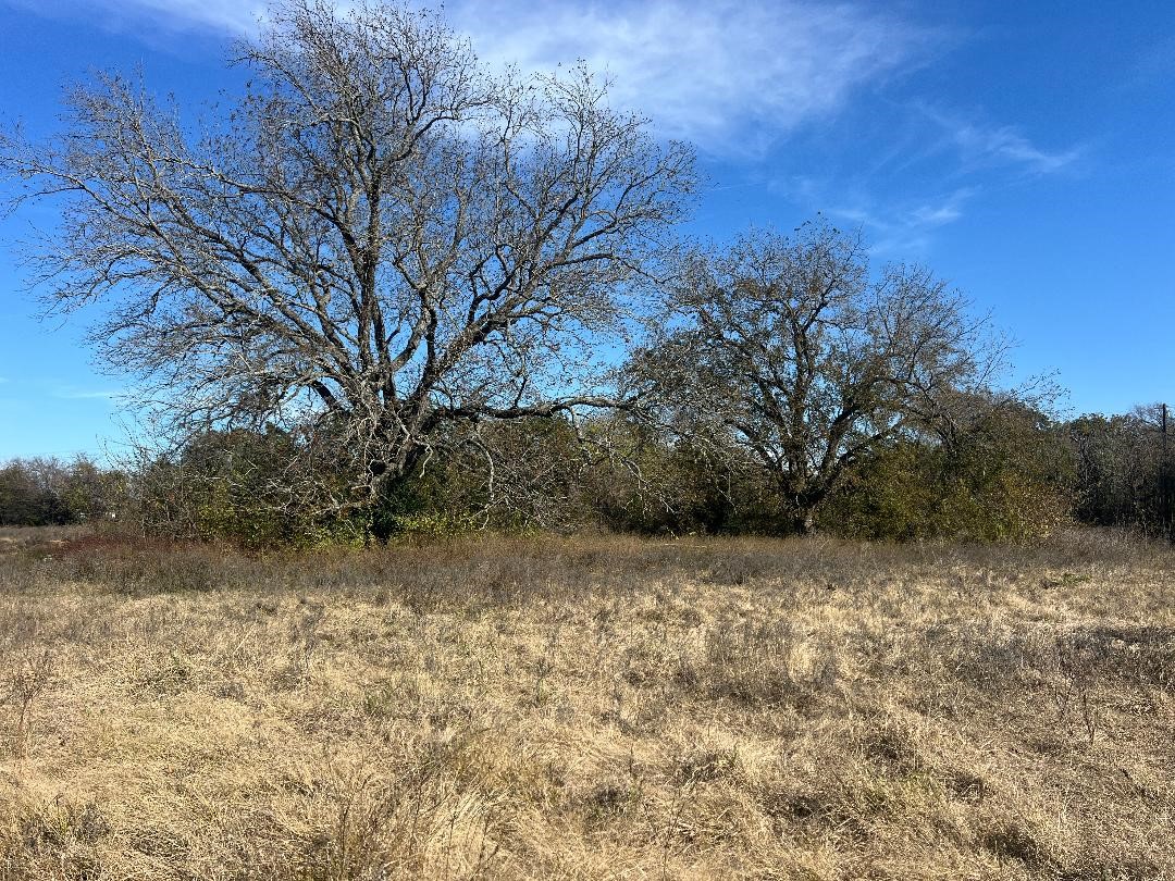 0000 Lcr 454 Groesbeck TX 76642