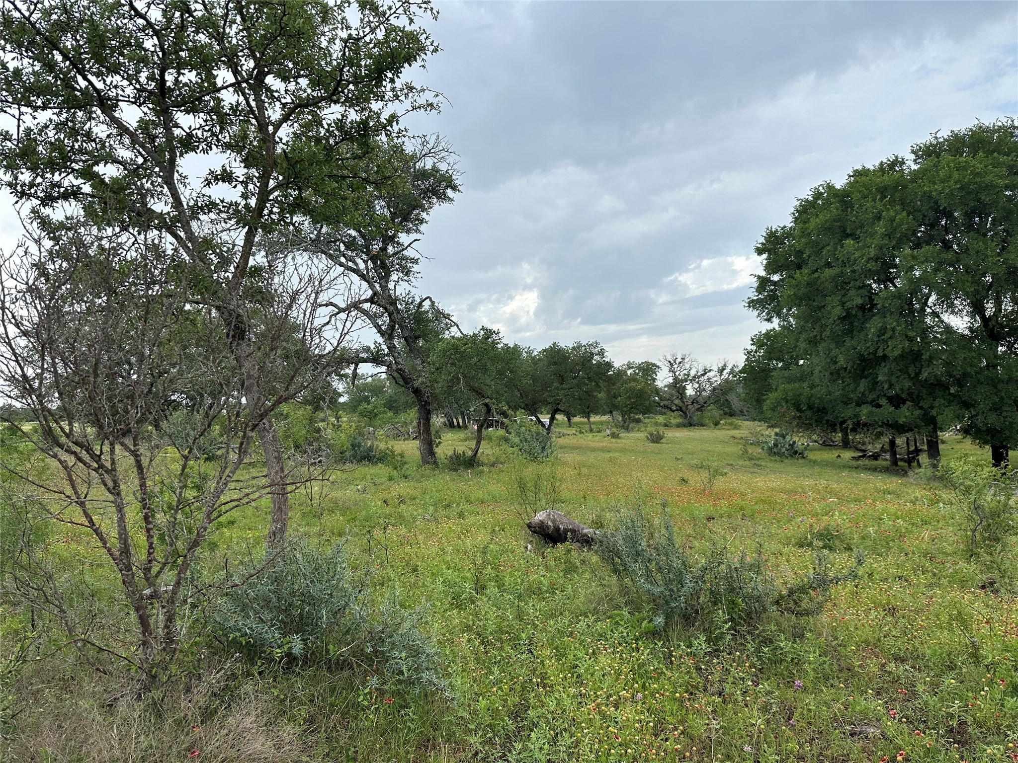 8343 County Road 270 Zephyr TX 76890