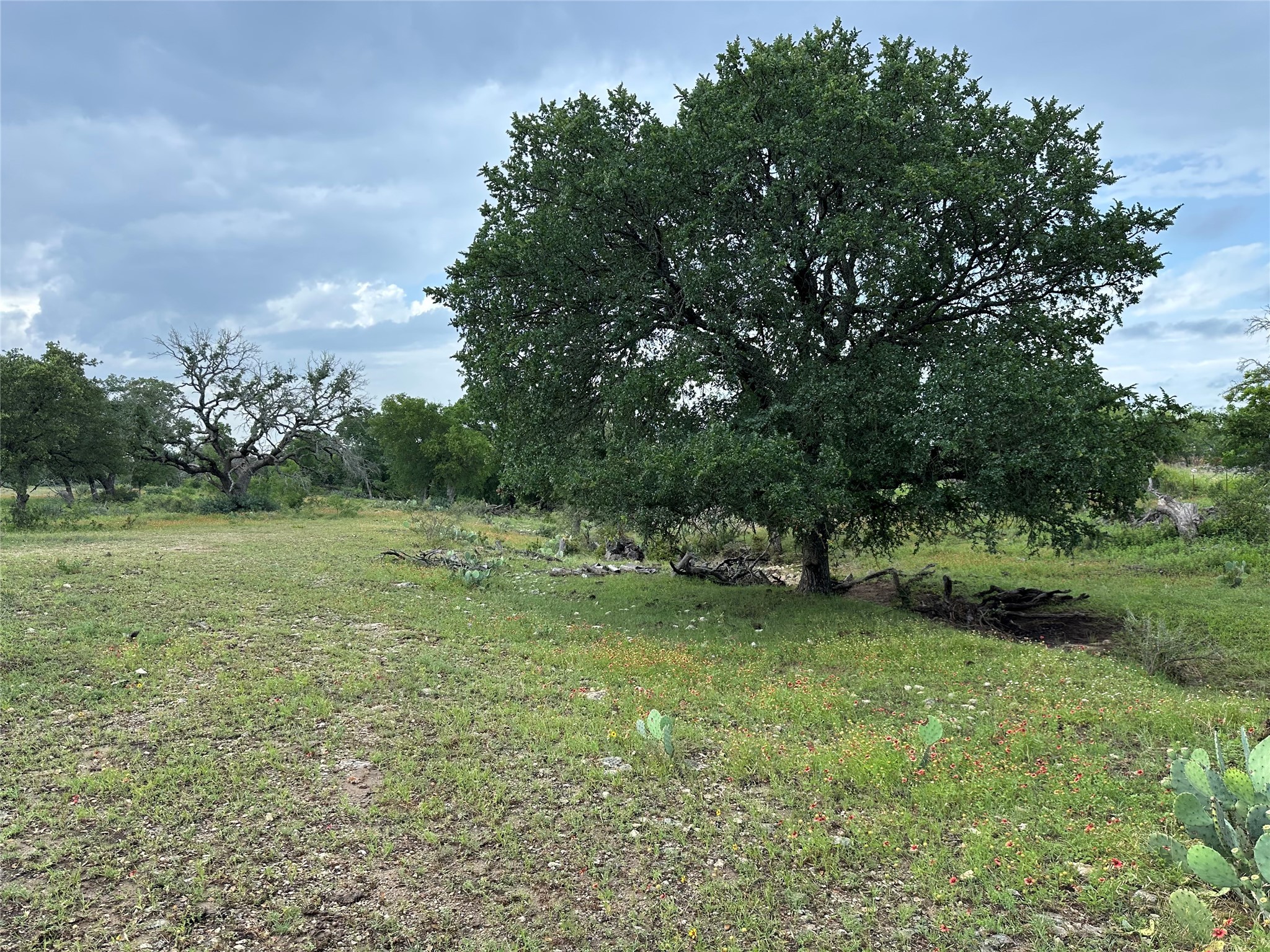 8343 County Road 270 Zephyr TX 76890