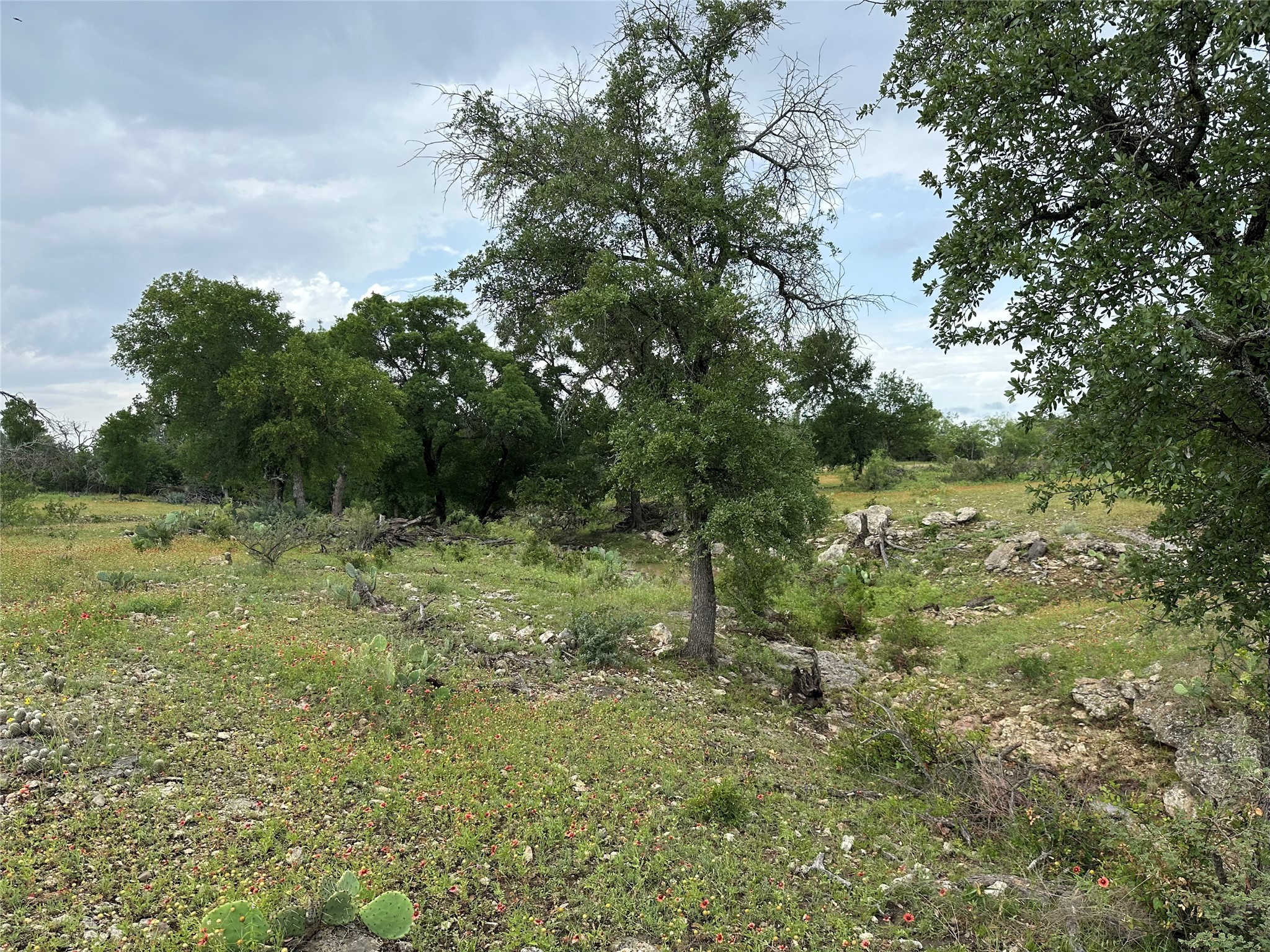 8343 County Road 270 Zephyr TX 76890