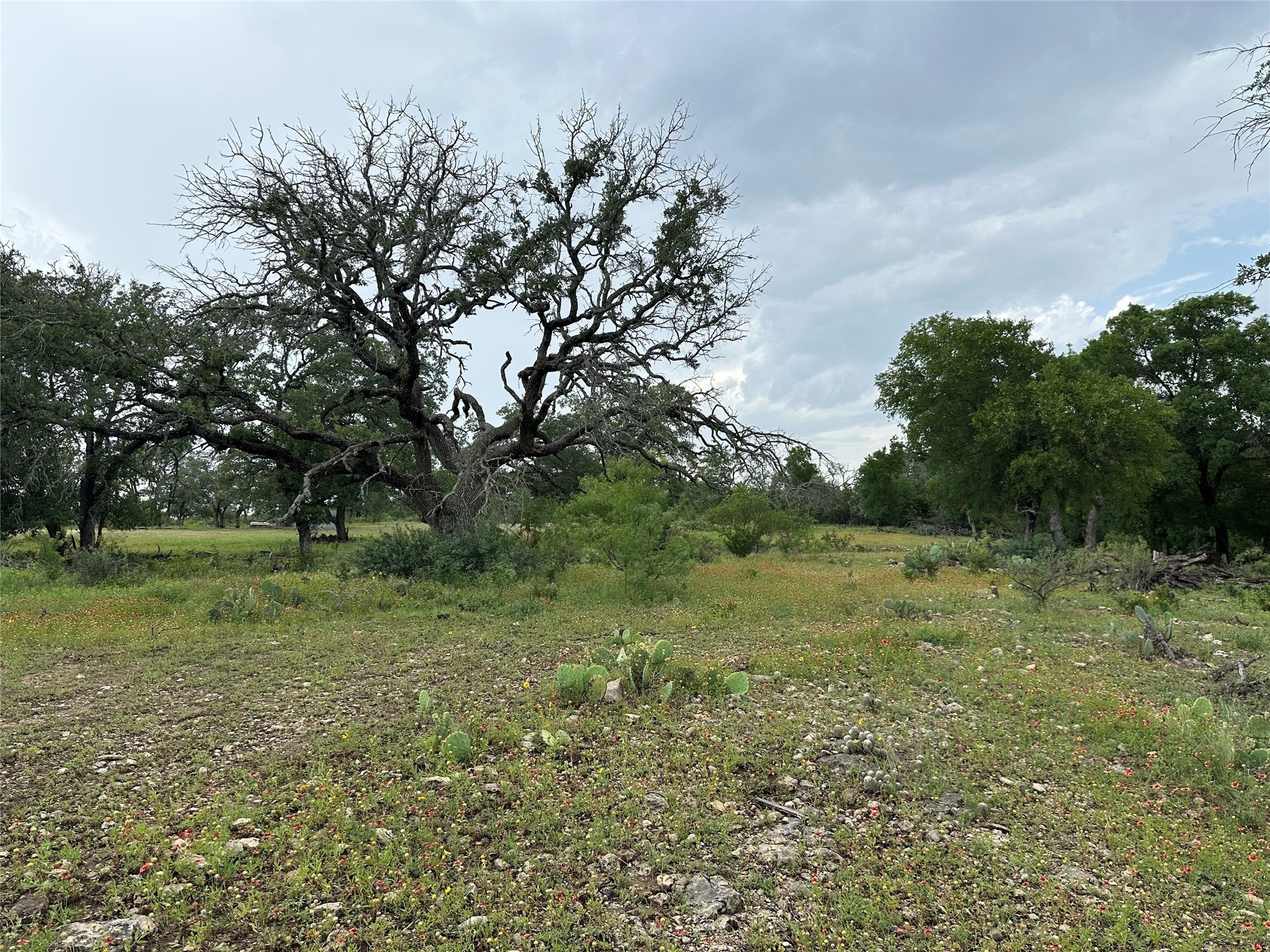 8343 County Road 270 Zephyr TX 76890