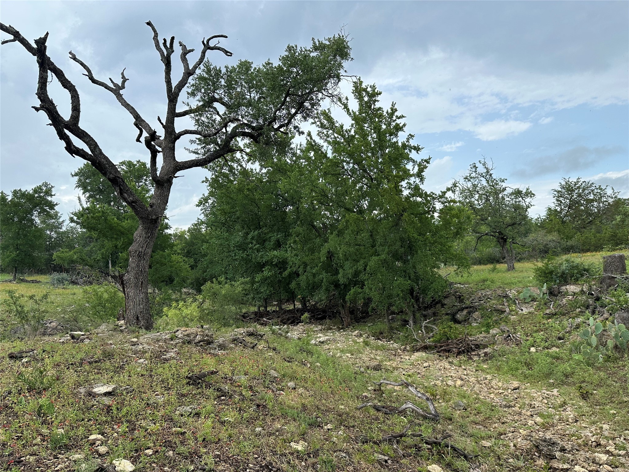 8343 County Road 270 Zephyr TX 76890