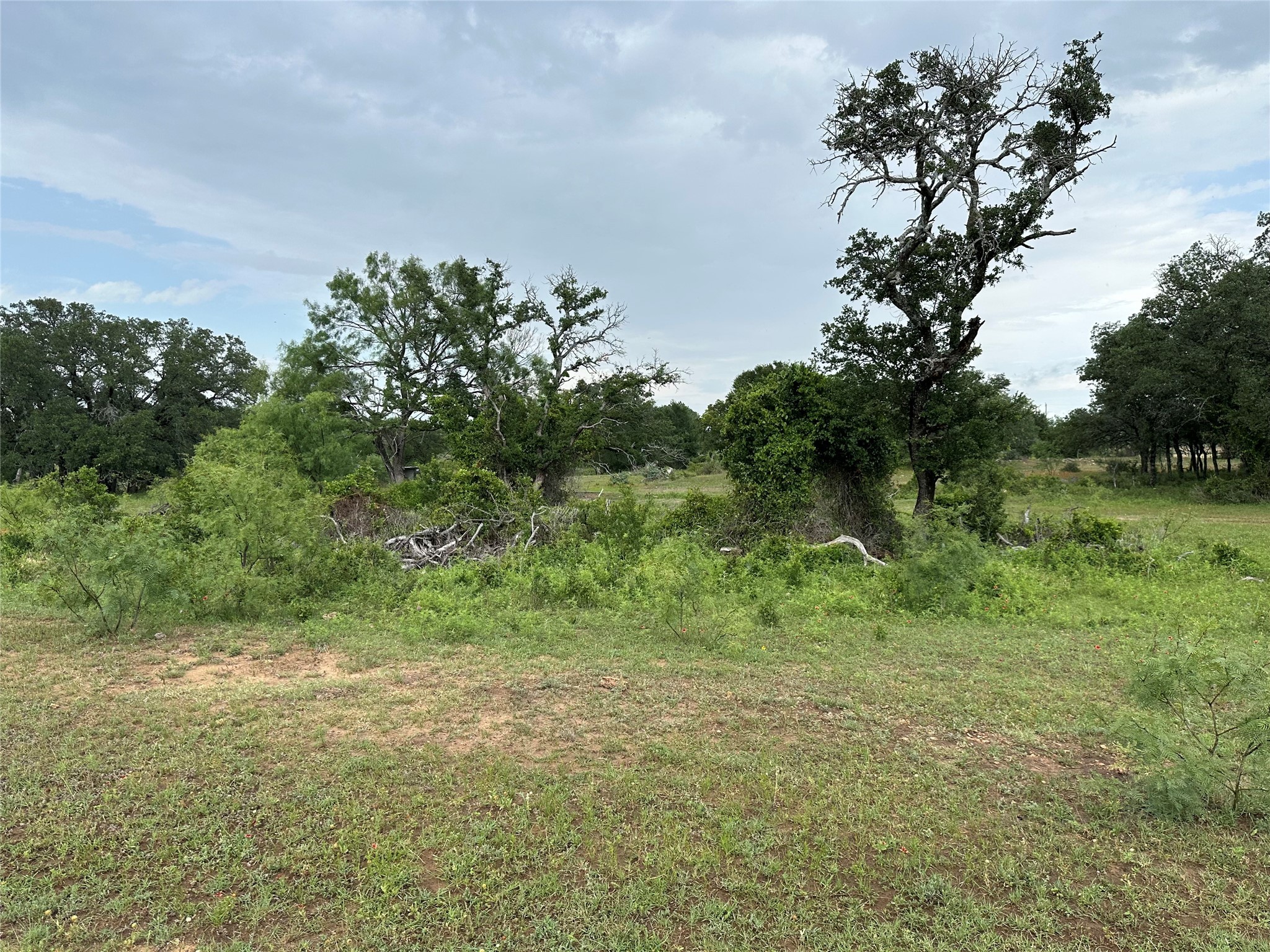 8343 County Road 270 Zephyr TX 76890