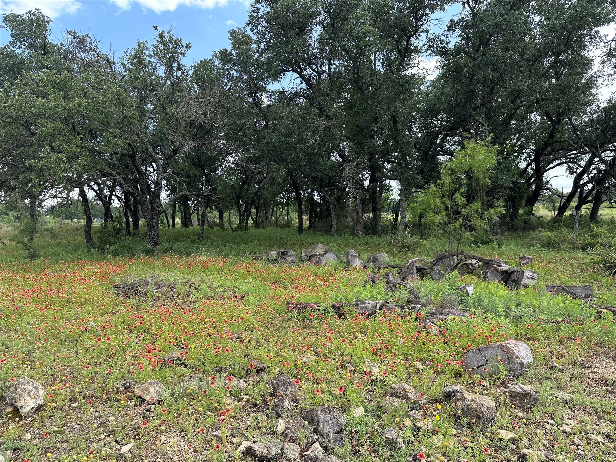 8343 County Road 270 Zephyr TX 76890