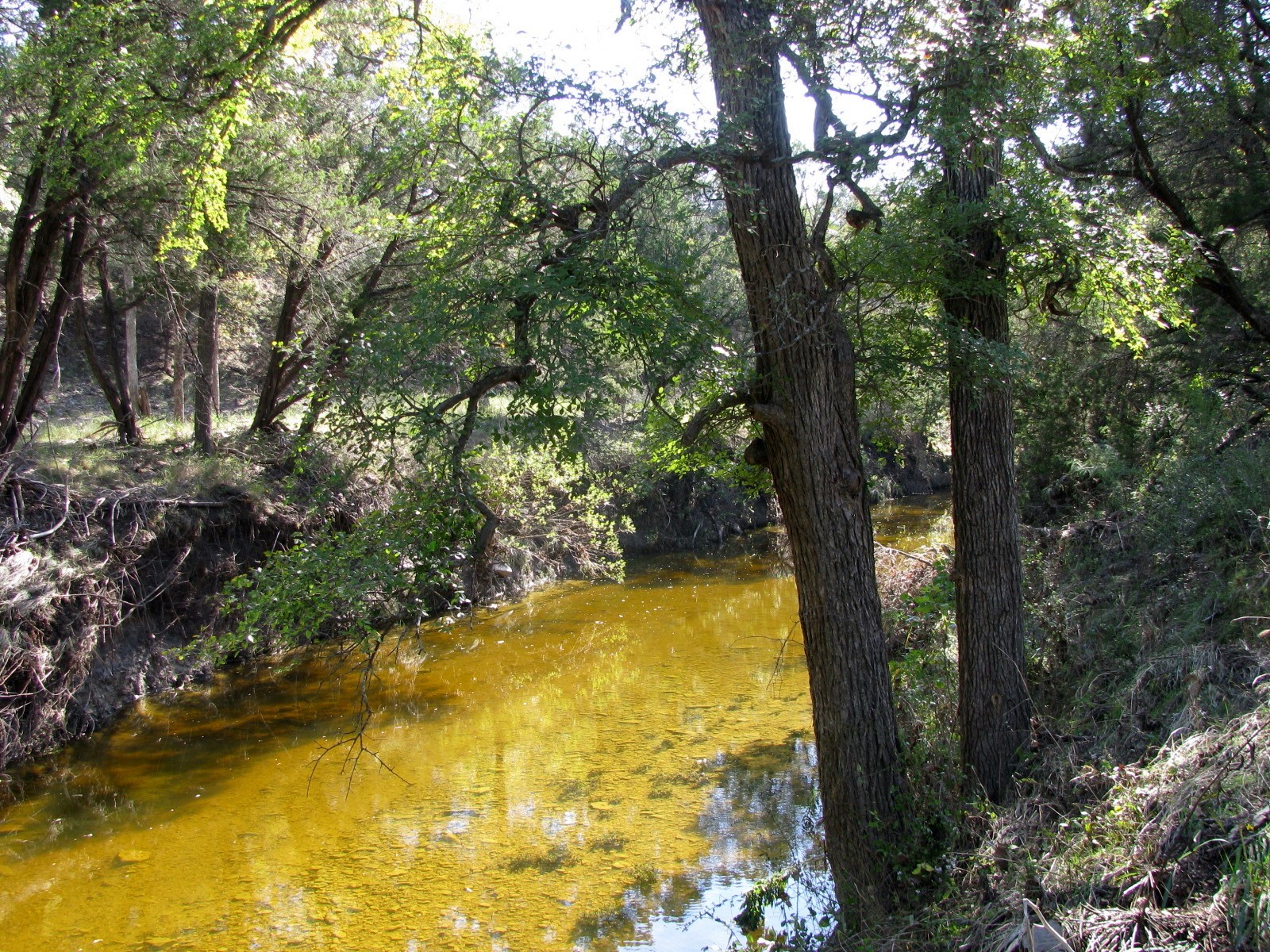 Tbd Pr 42112 Evant TX 76525