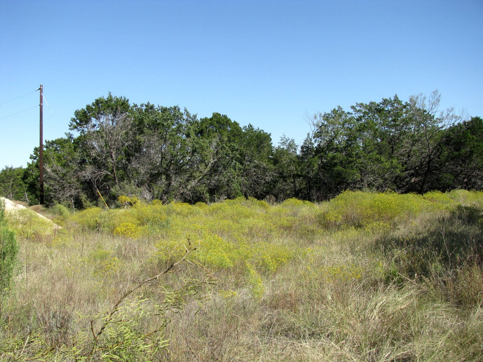 Tbd Pr 42112 Evant TX 76525