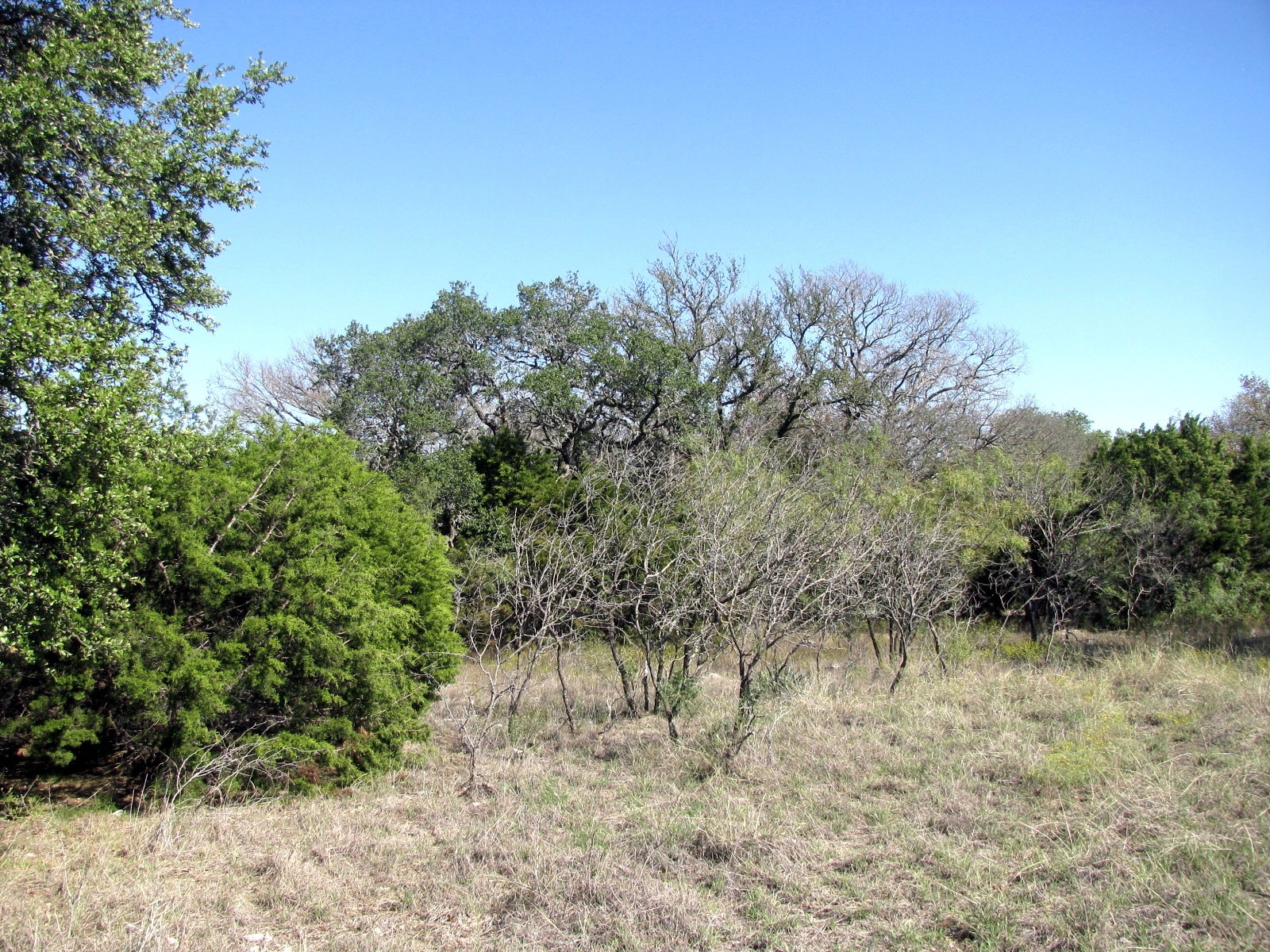 Tbd Pr 42112 Evant TX 76525