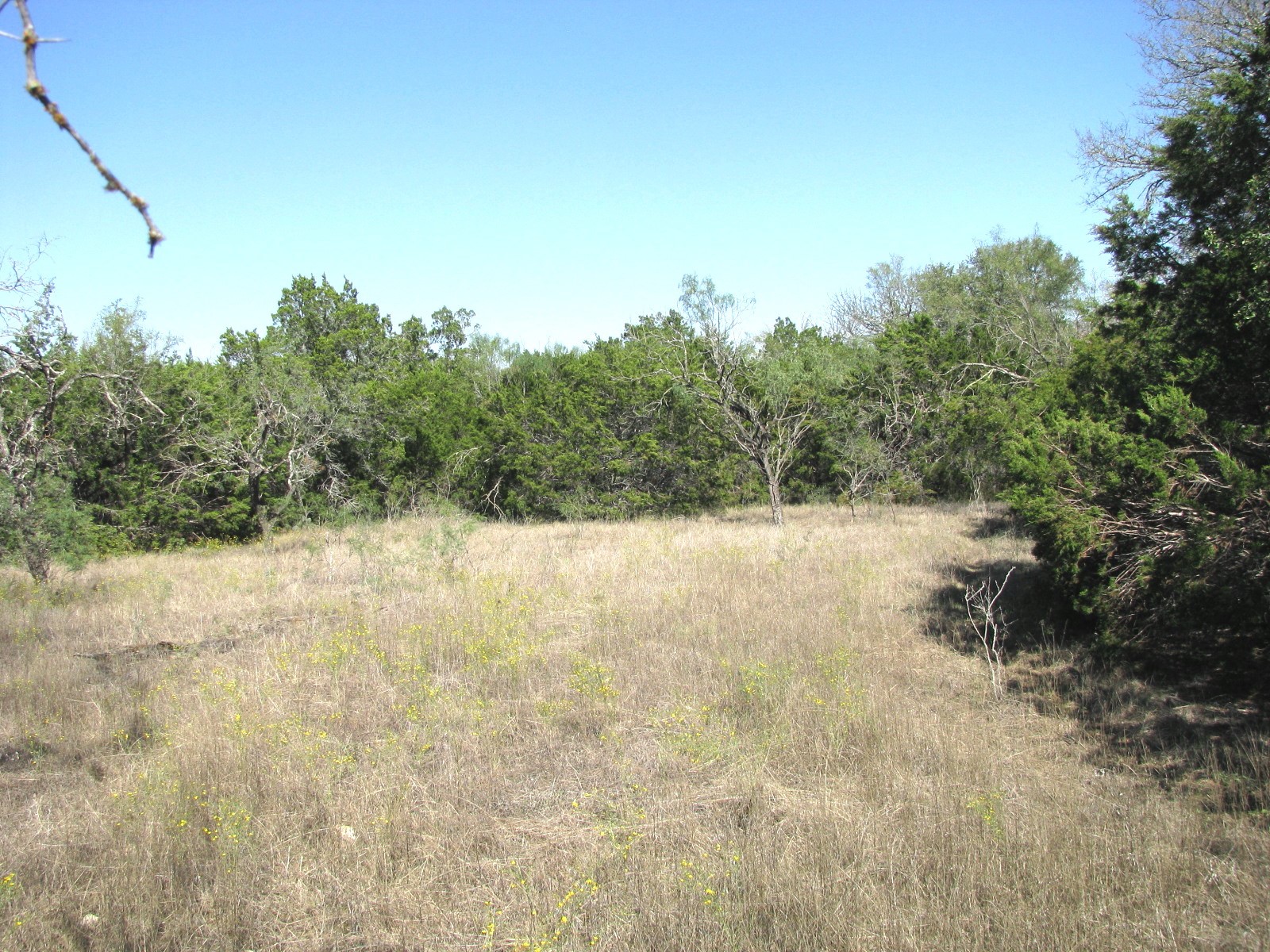 Tbd Pr 42112 Evant TX 76525