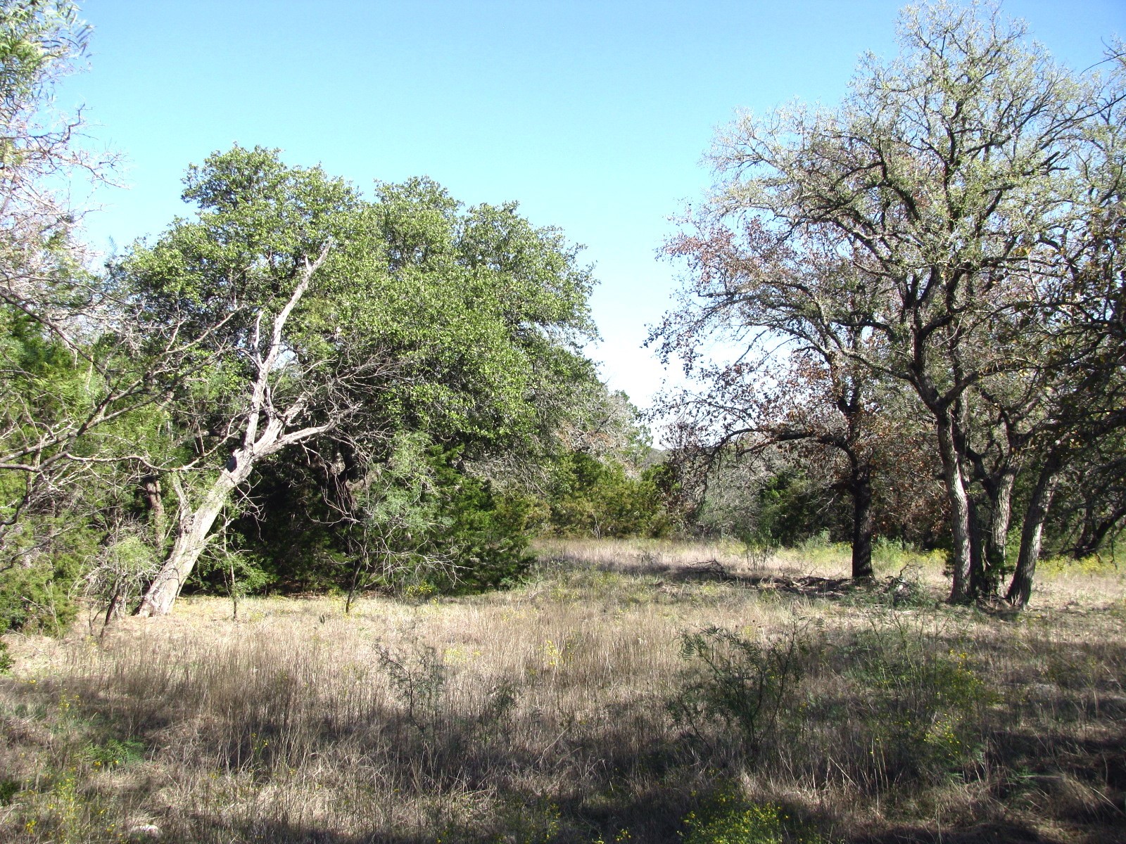 Tbd Pr 42112 Evant TX 76525