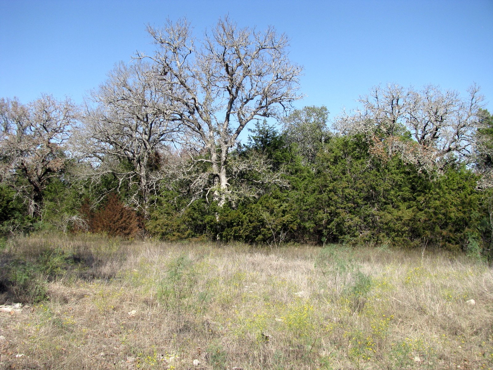 Tbd Pr 42112 Evant TX 76525