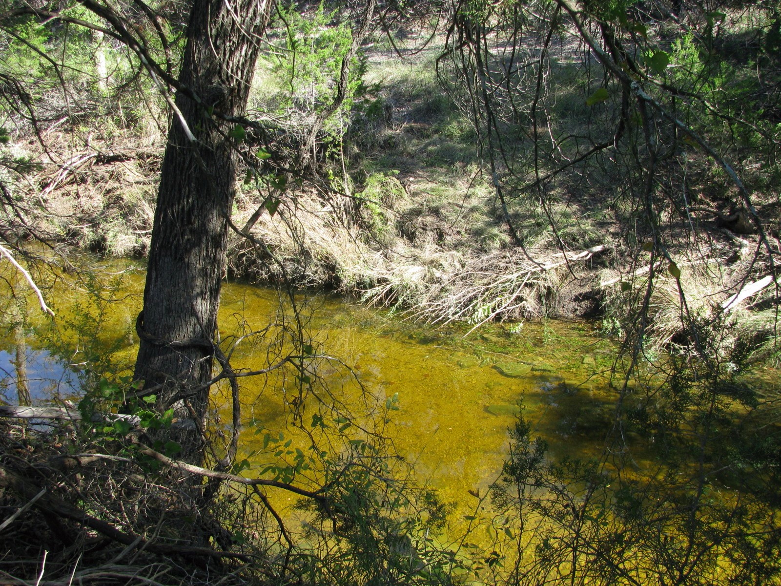 Tbd Pr 42112 Evant TX 76525