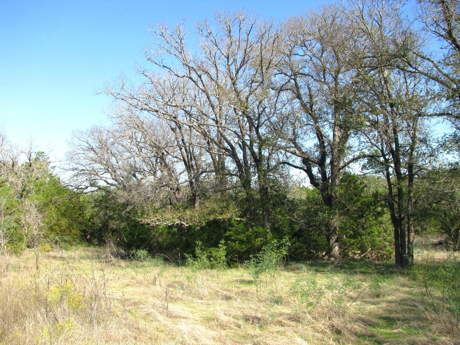 Tbd Pr 42112 Evant TX 76525