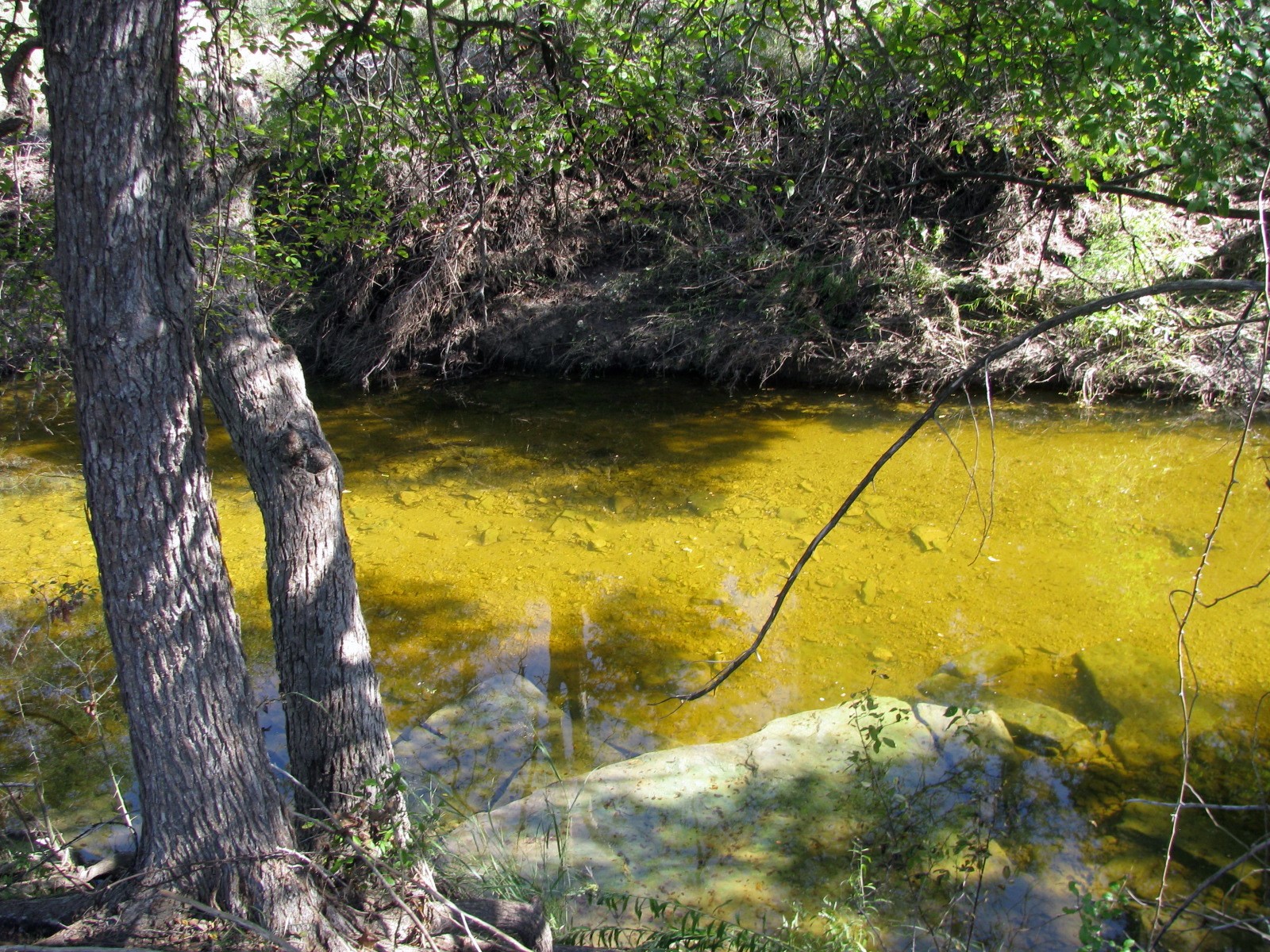 Tbd Pr 42112 Evant TX 76525