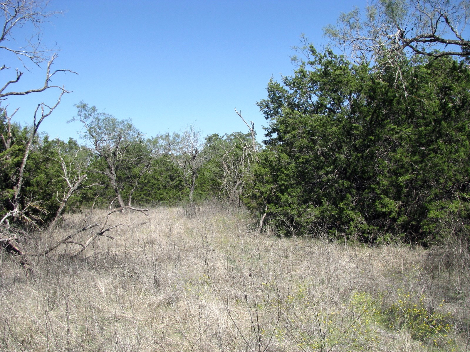 Tbd Pr 42112 Evant TX 76525