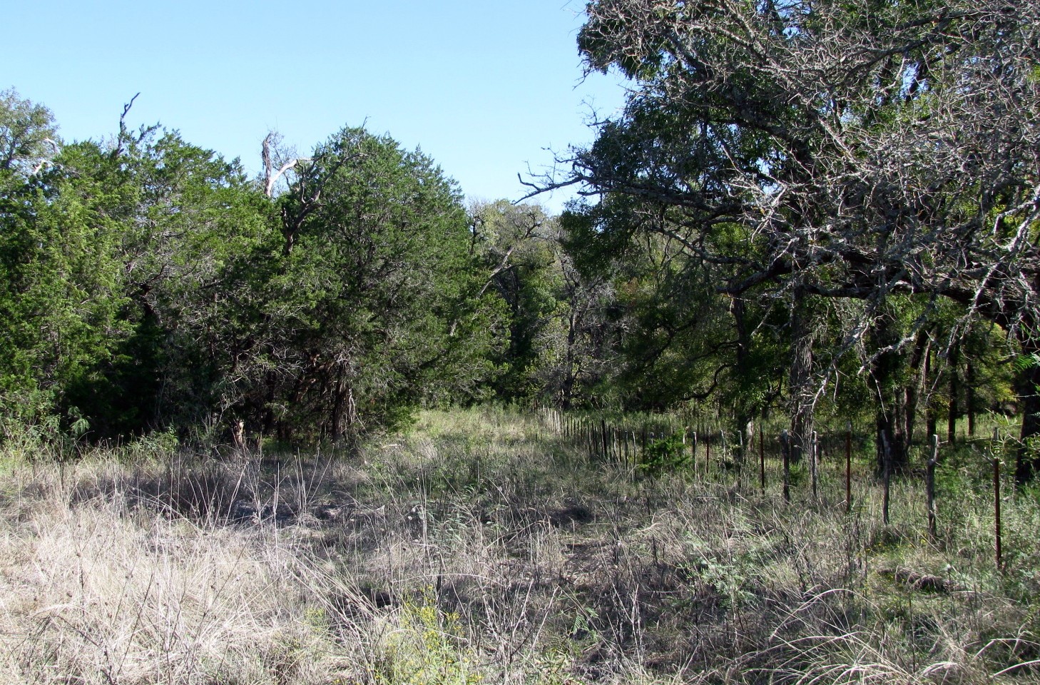 Tbd Pr 42112 Evant TX 76525