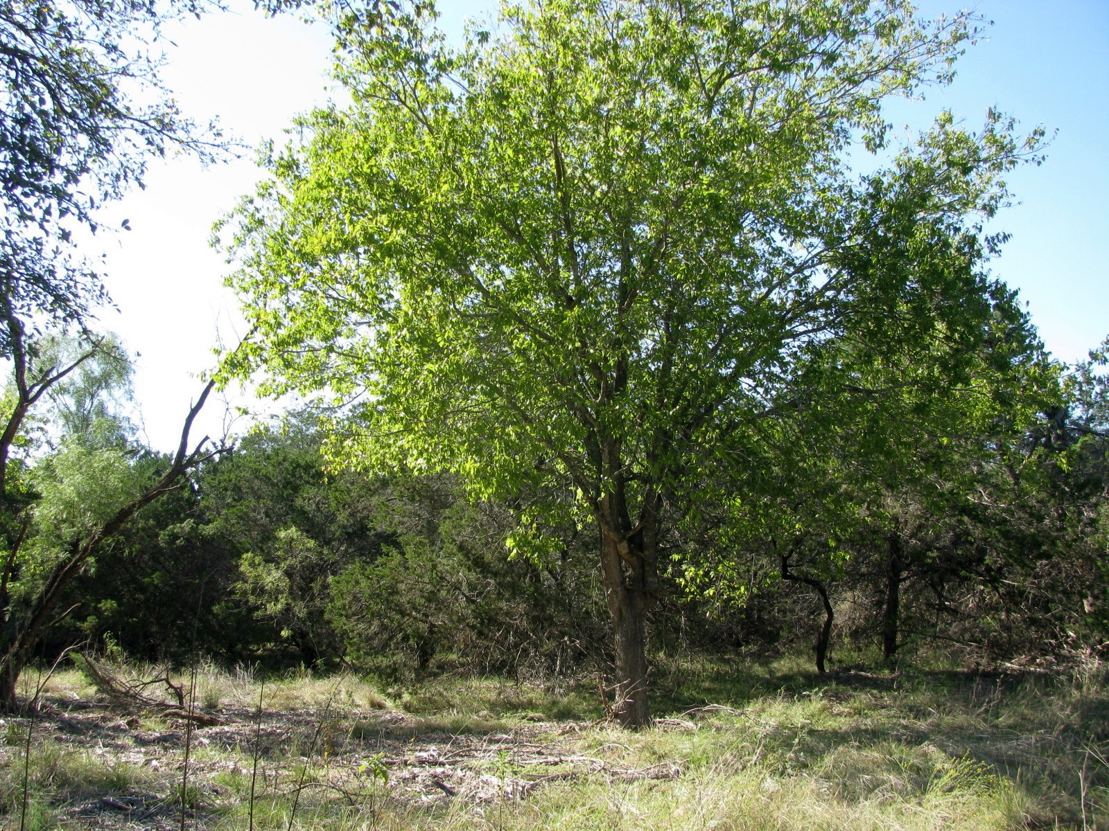 Tbd Pr 42112 Evant TX 76525