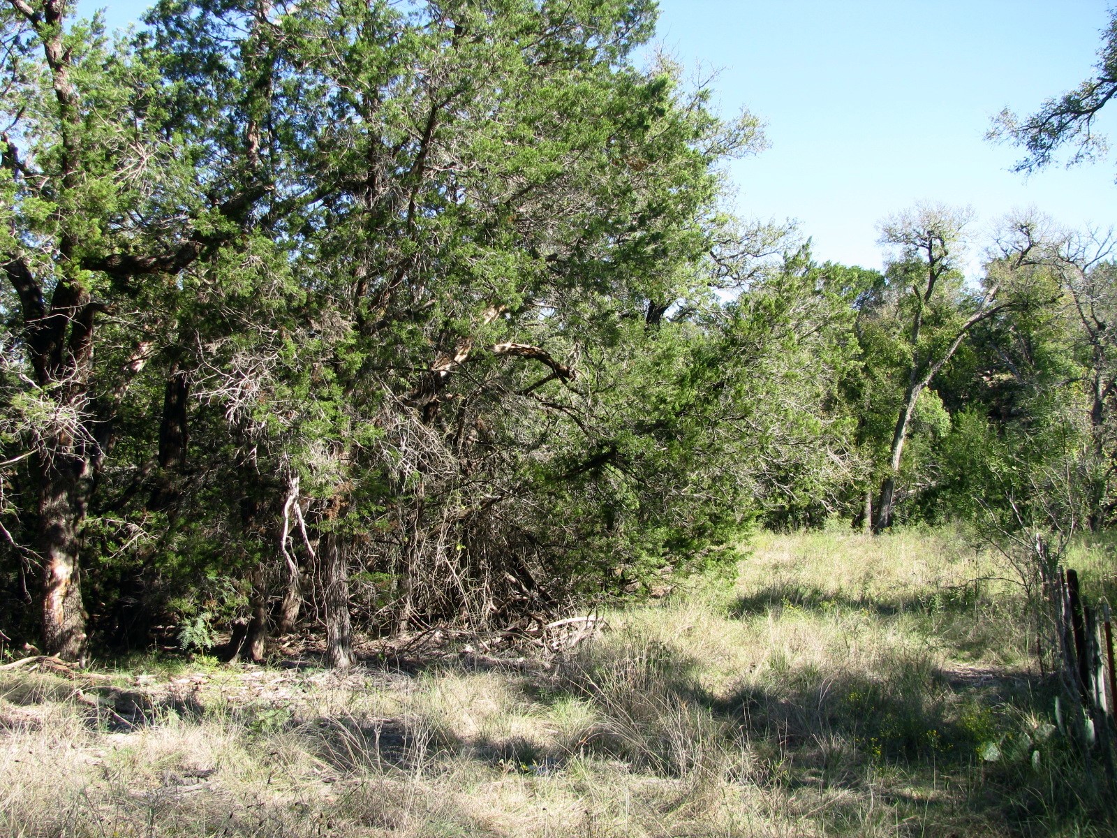 Tbd Pr 42112 Evant TX 76525
