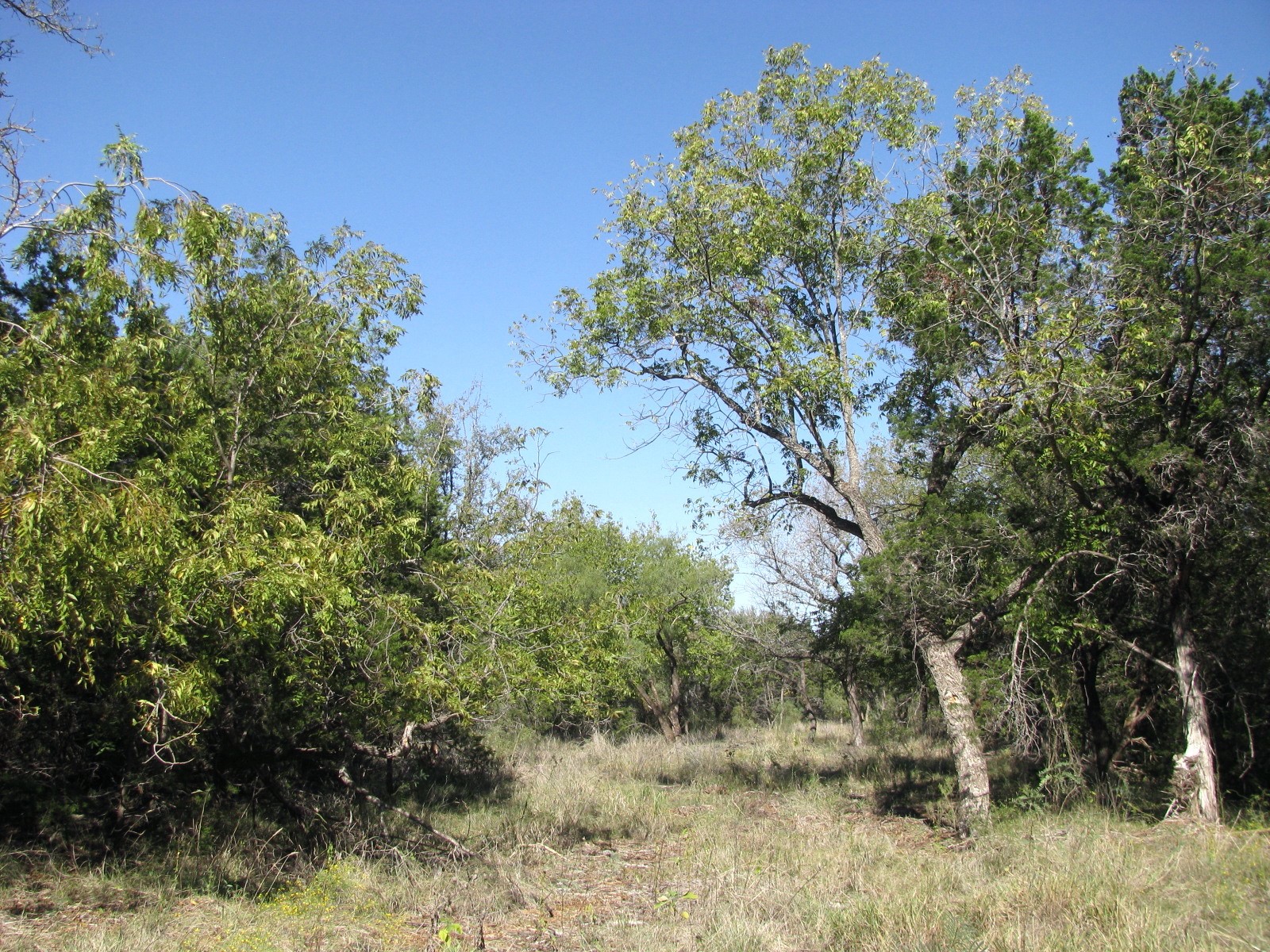 Tbd Pr 42112 Evant TX 76525
