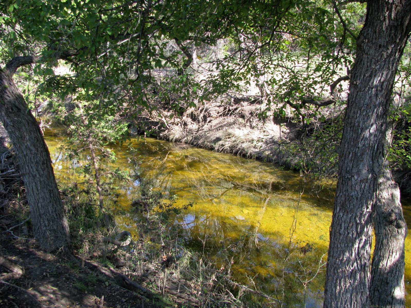 Tbd Pr 42112 Evant TX 76525