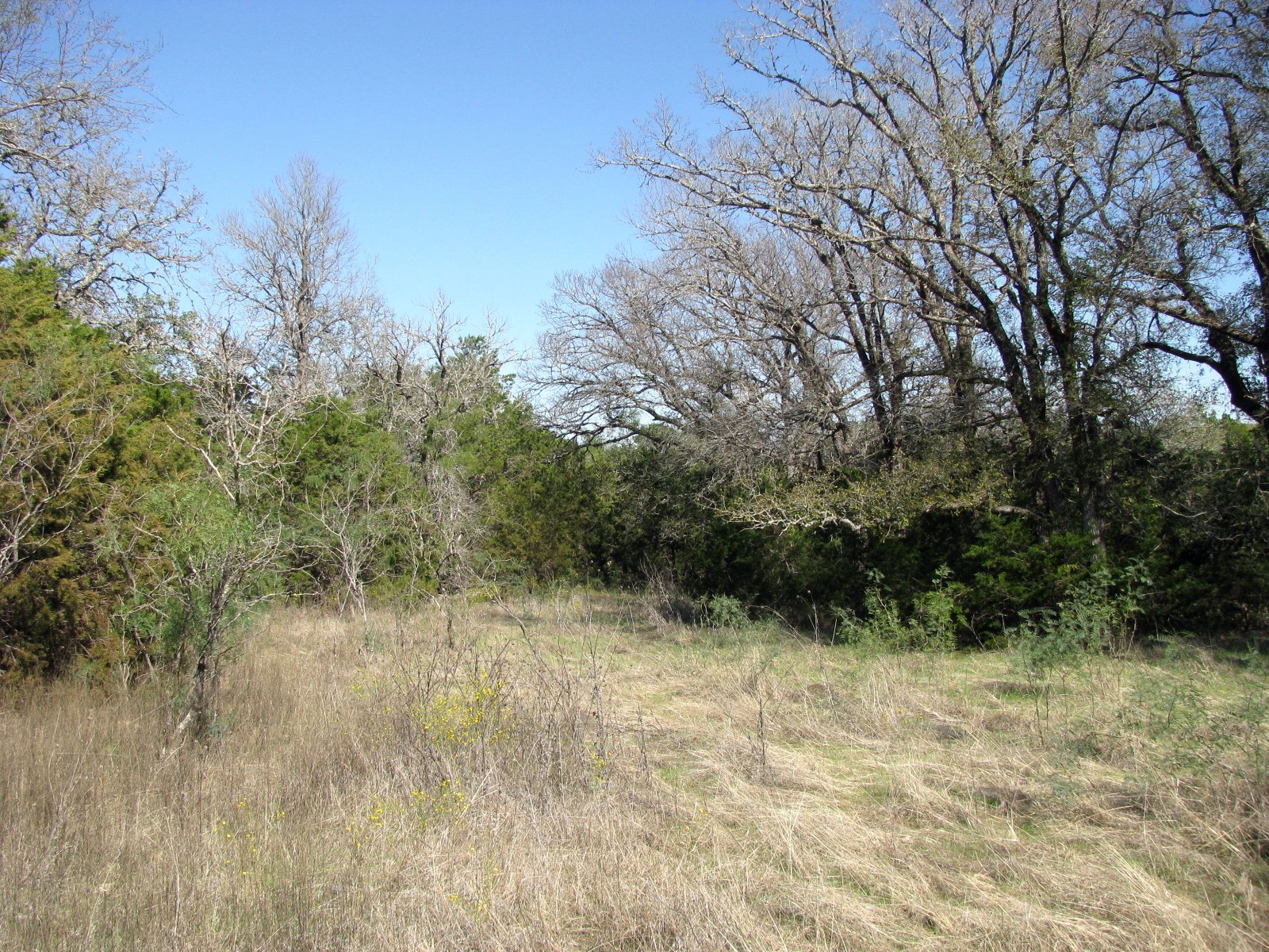 Tbd Pr 42112 Evant TX 76525