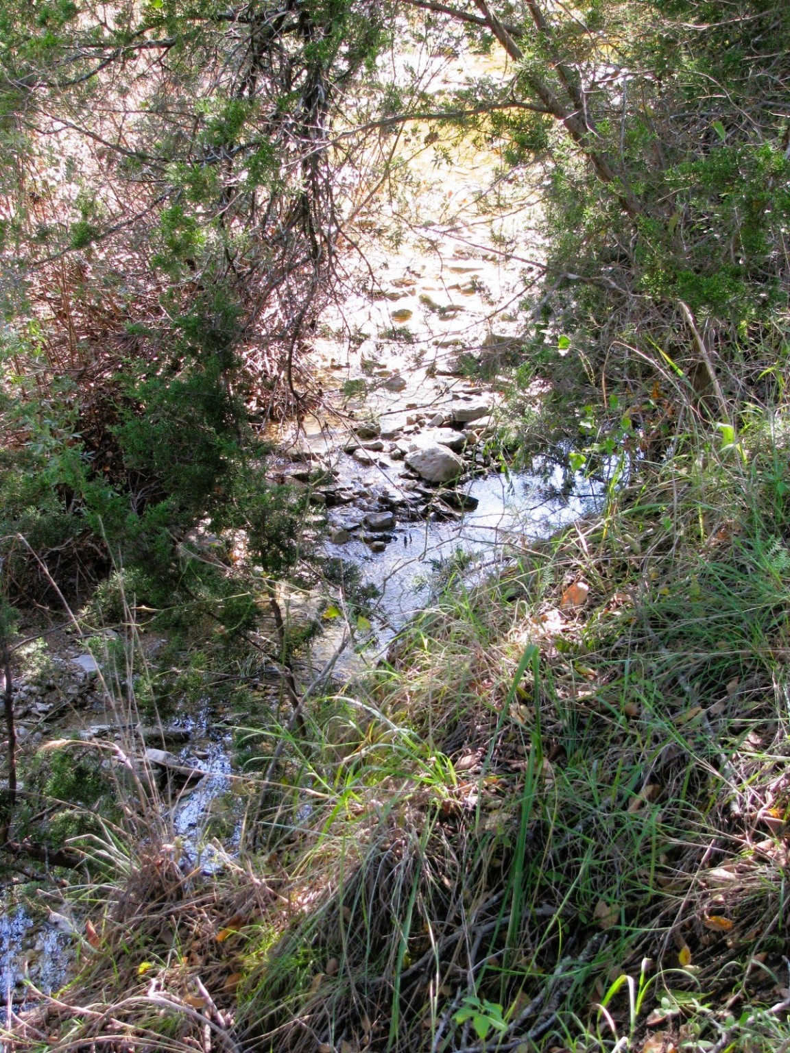 Tbd Pr 42112 Evant TX 76525