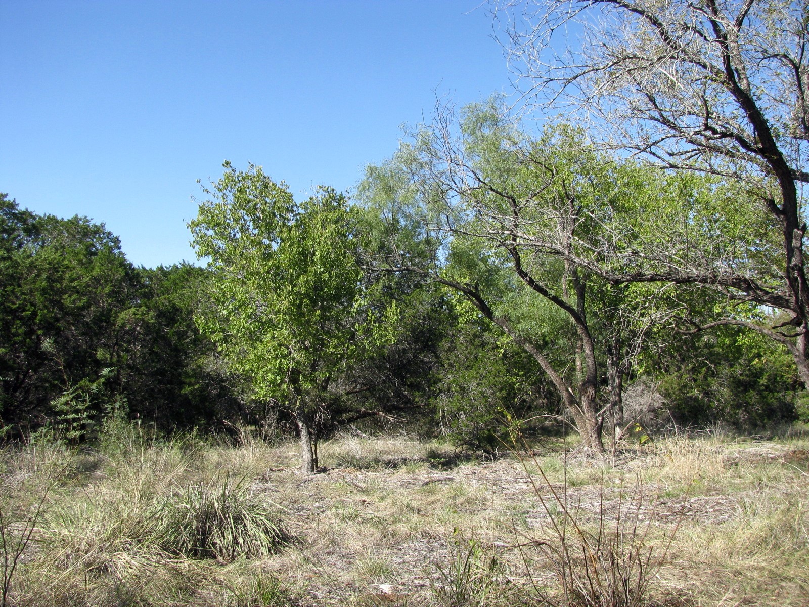 Tbd Pr 42112 Evant TX 76525