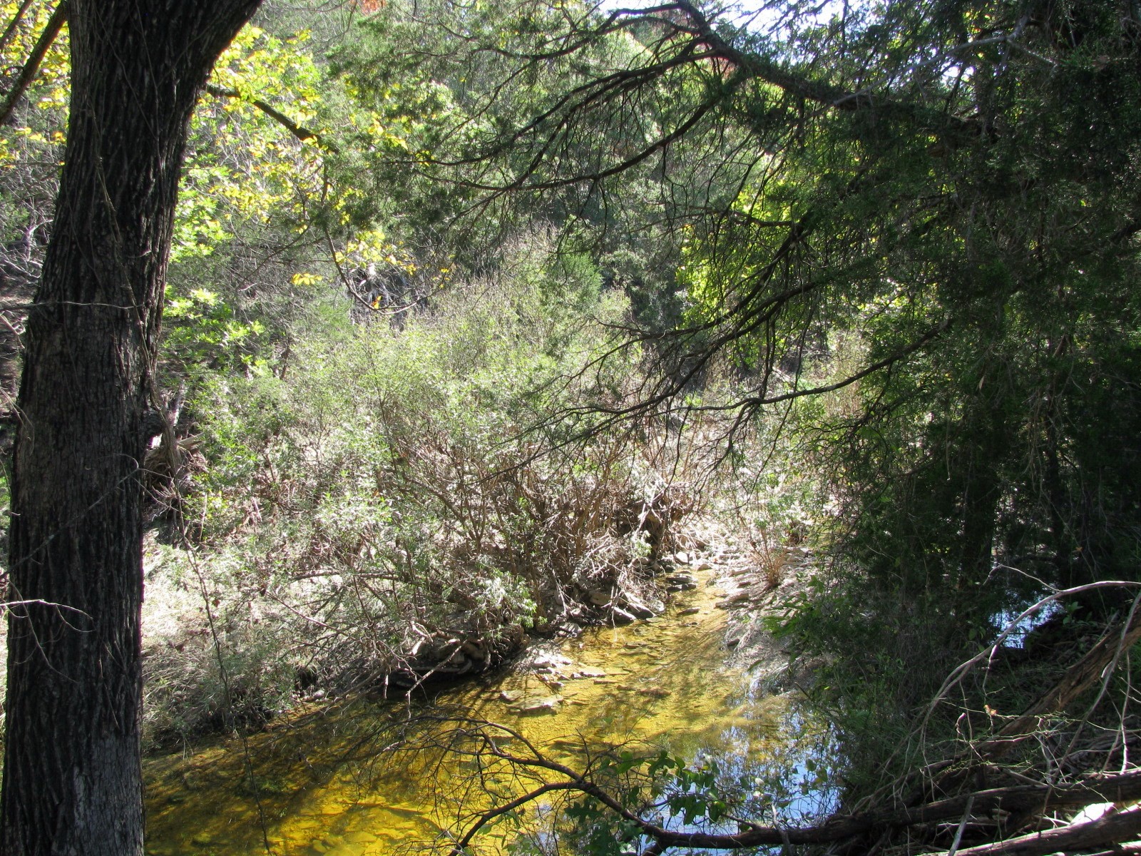 Tbd Pr 42112 Evant TX 76525
