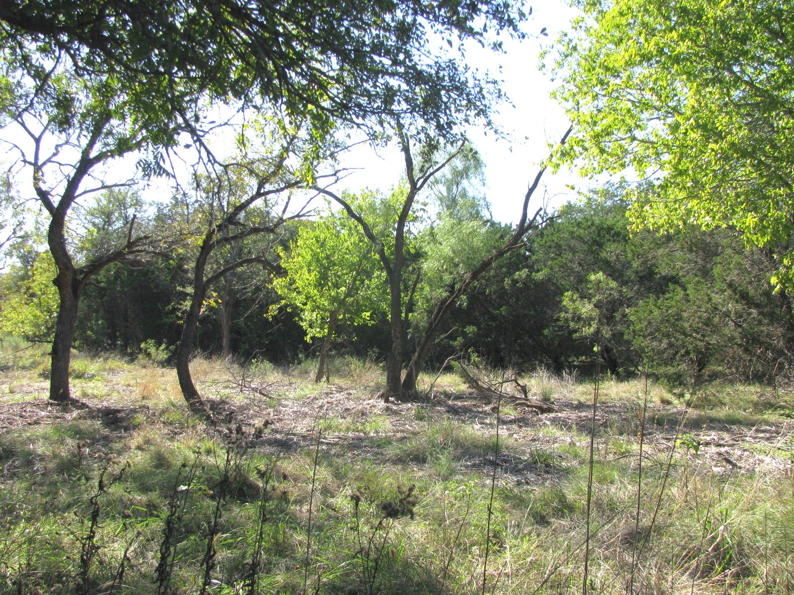 Tbd Pr 42112 Evant TX 76525