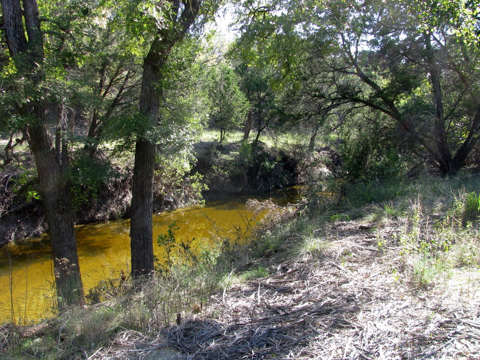Tbd Pr 42112 Evant TX 76525