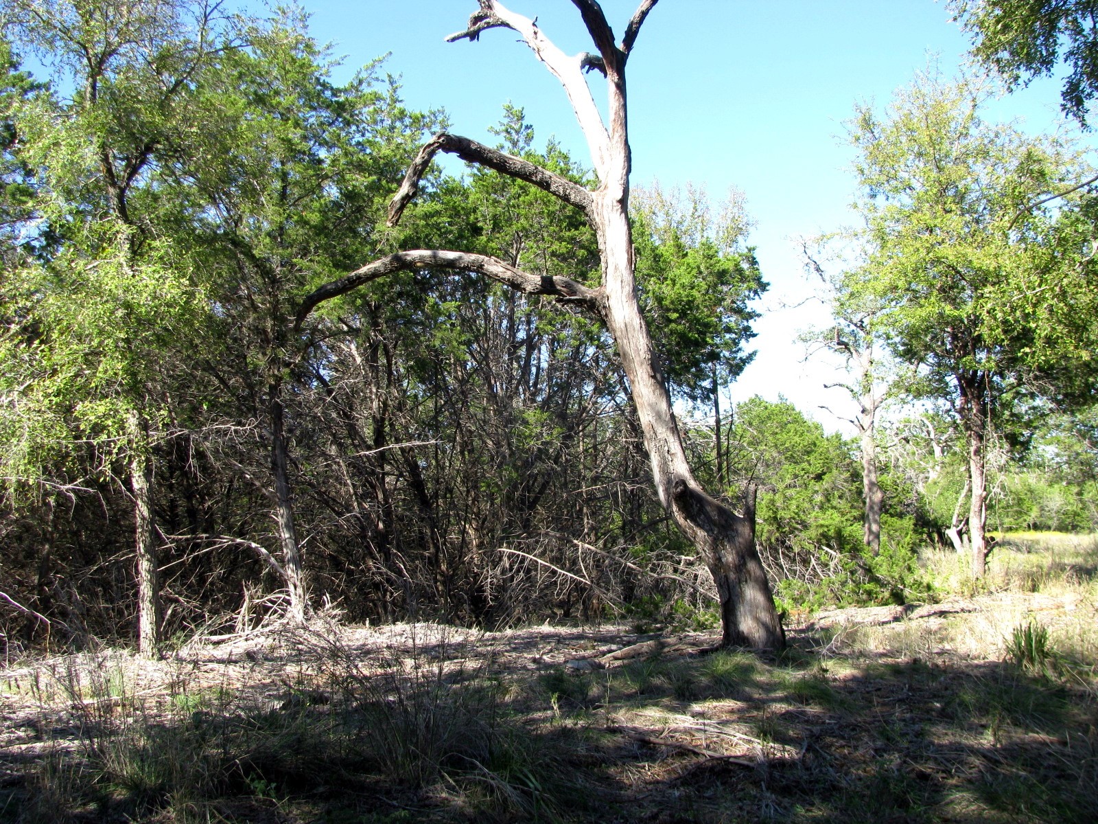 Tbd Pr 42112 Evant TX 76525
