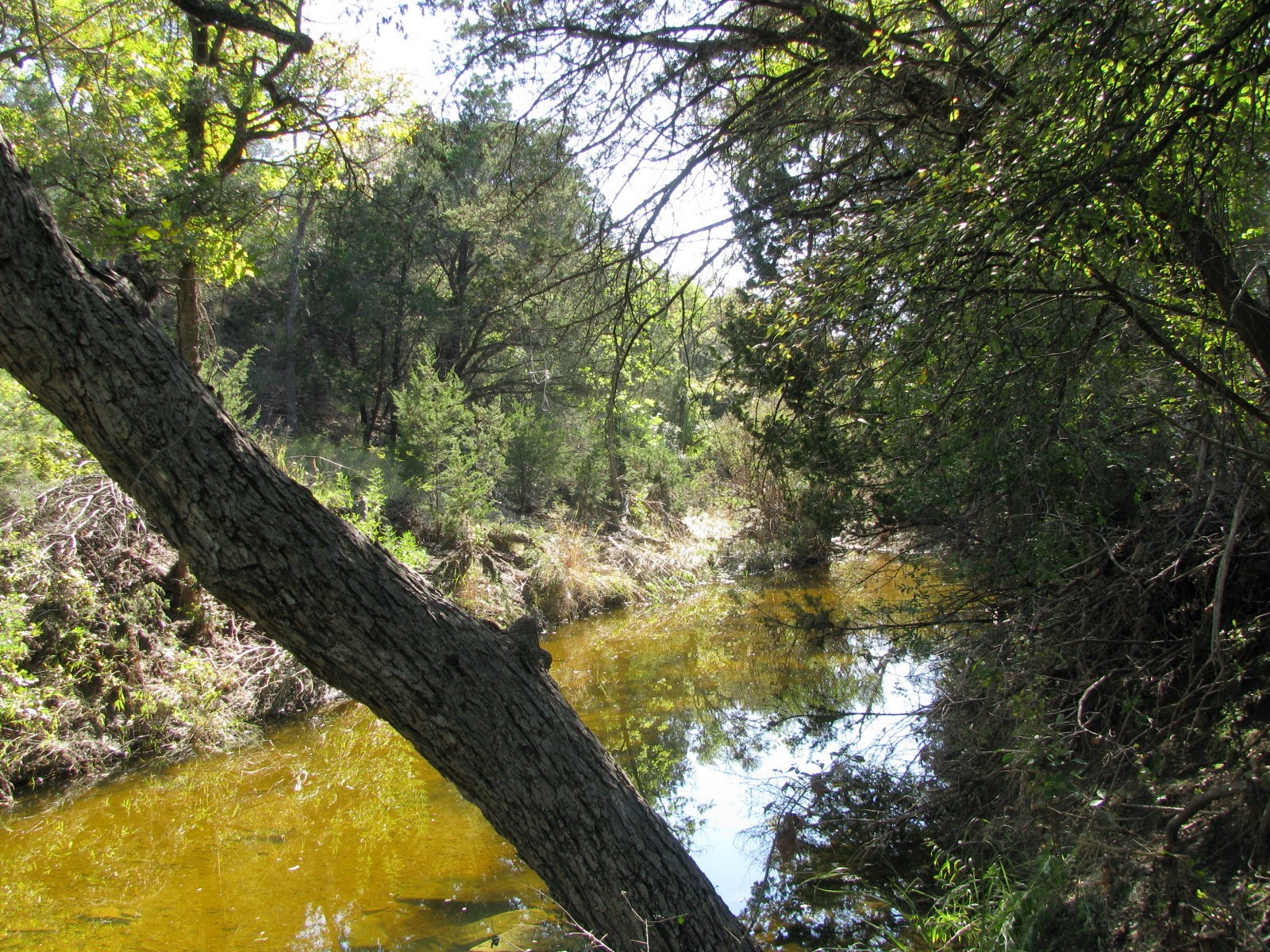 Tbd Pr 42112 Evant TX 76525