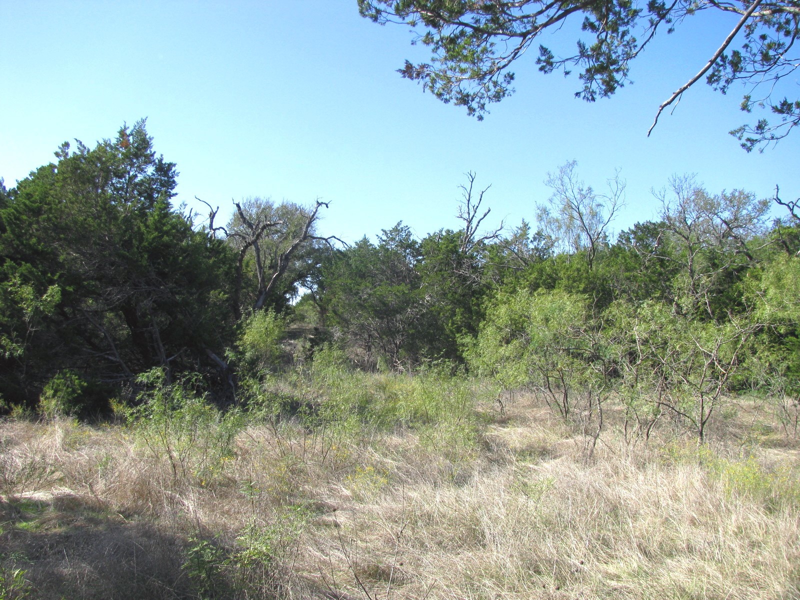 Tbd Pr 42112 Evant TX 76525