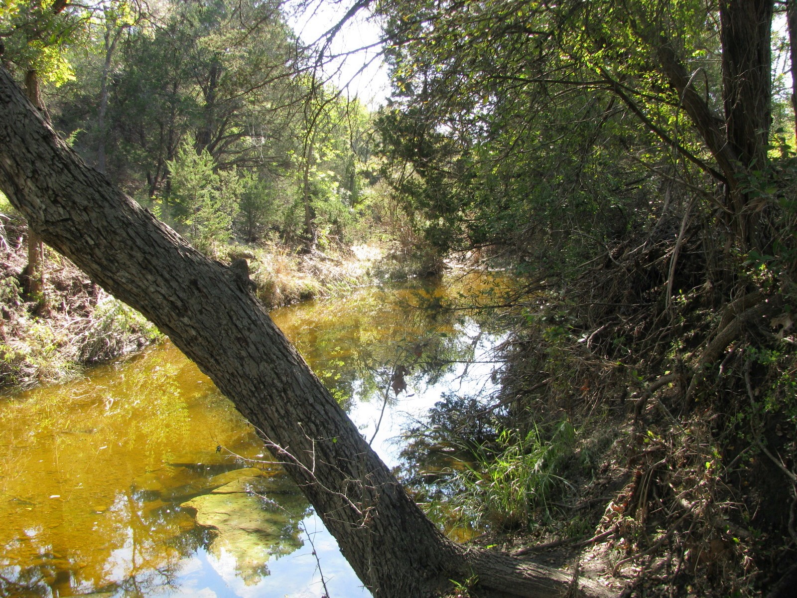 Tbd Pr 42112 Evant TX 76525
