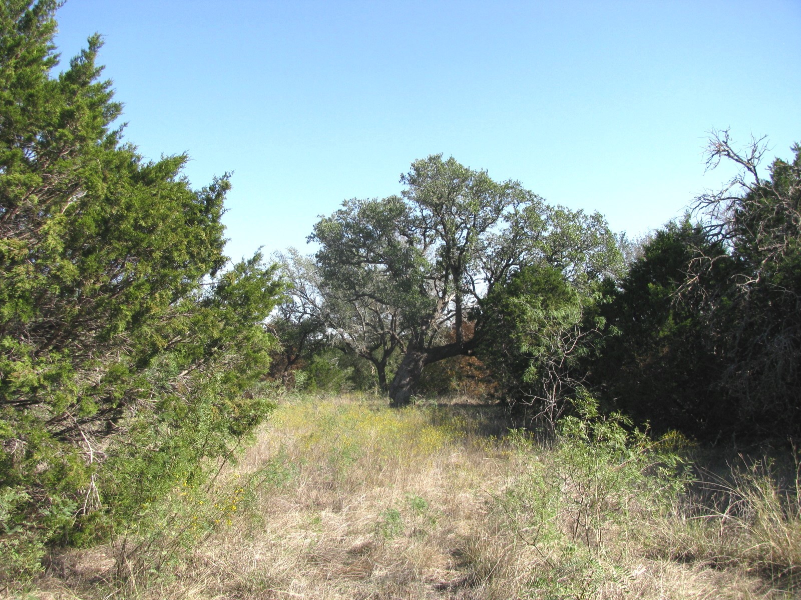 Tbd Pr 42112 Evant TX 76525