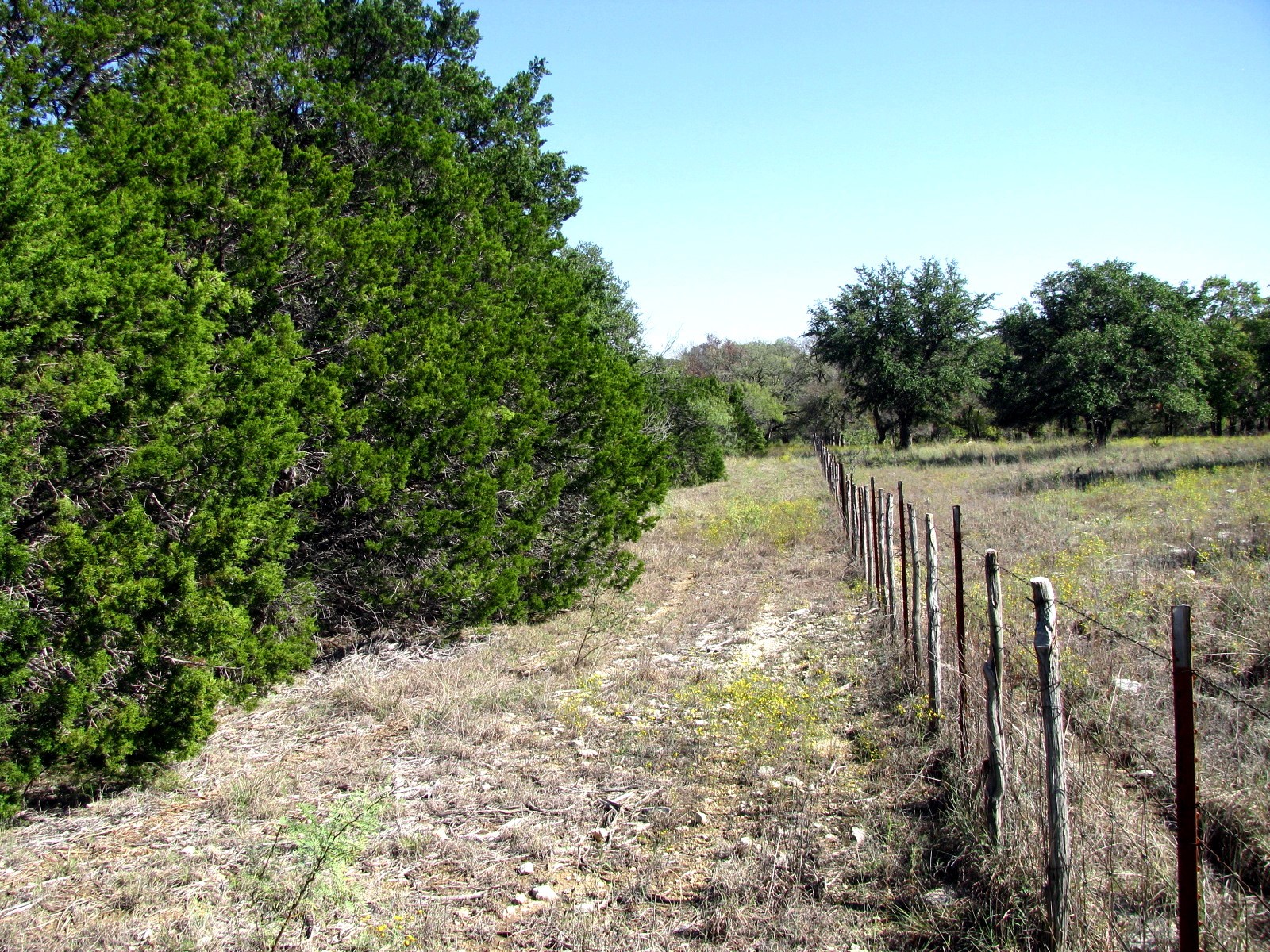 Tbd Pr 42112 Evant TX 76525