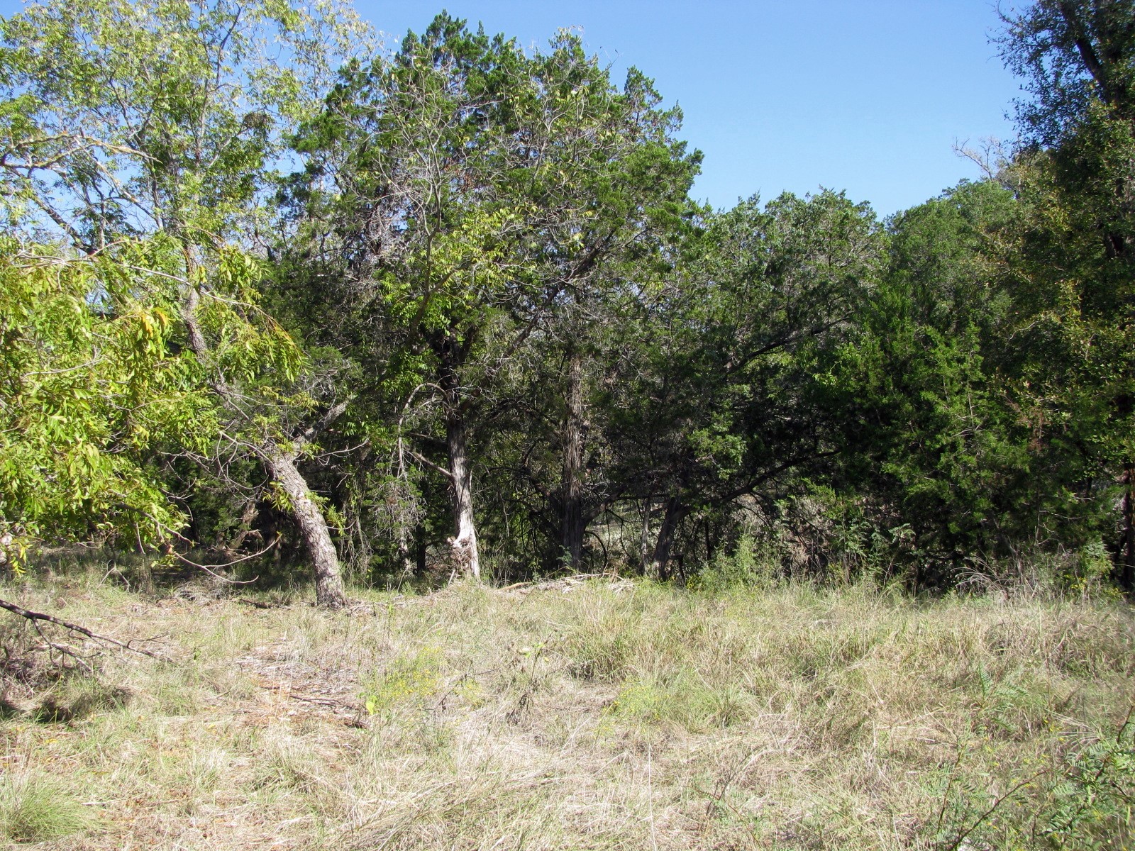 Tbd Pr 42112 Evant TX 76525