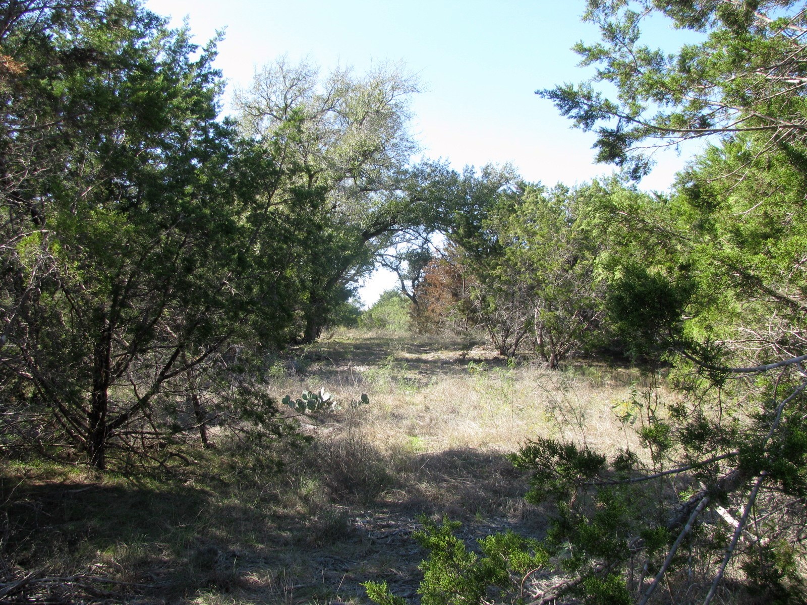 Tbd Pr 42112 Evant TX 76525