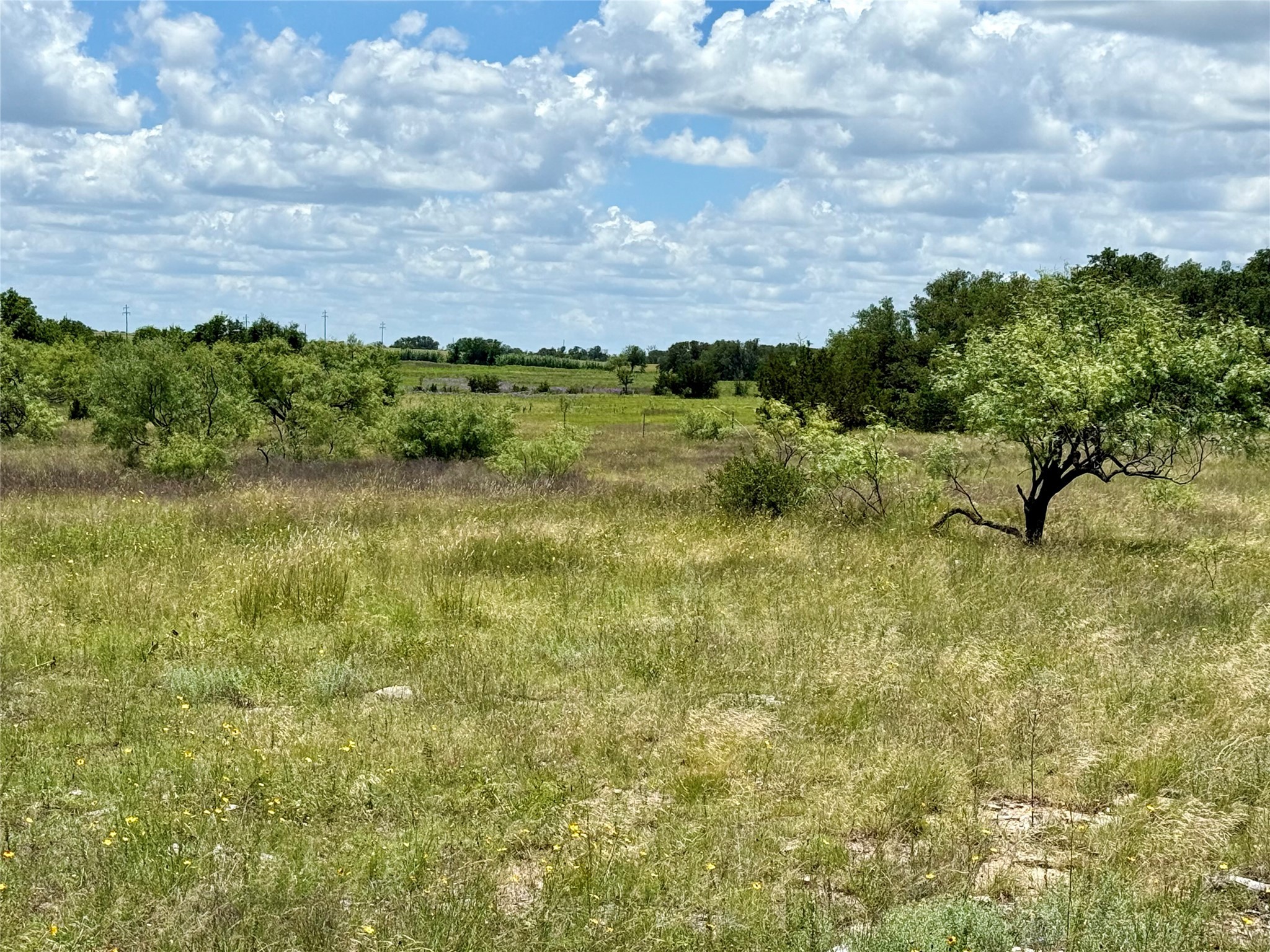 Lot 39 Pecan Valley Drive Gustine TX 76455