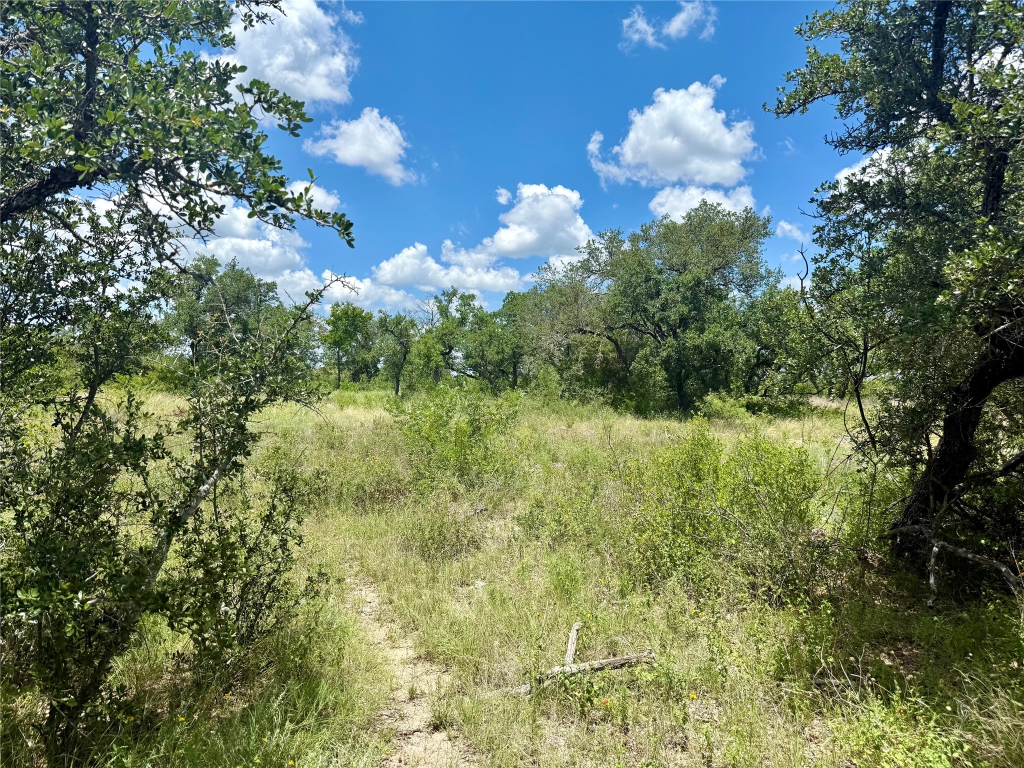 Lot 39 Pecan Valley Drive Gustine TX 76455