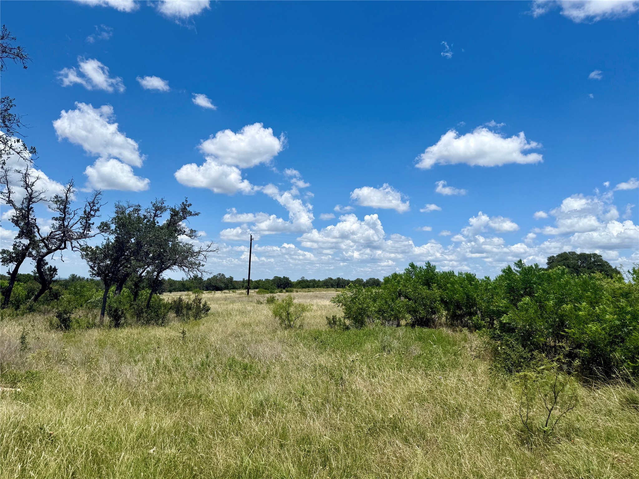 Lot 39 Pecan Valley Drive Gustine TX 76455