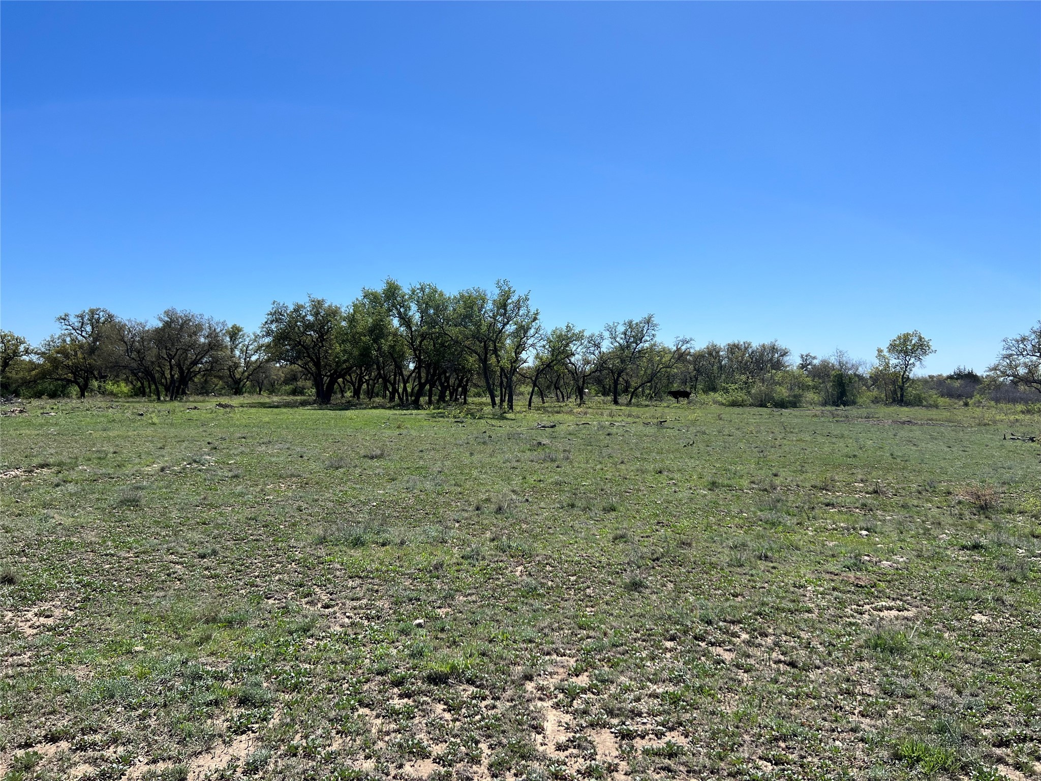 Lot 39 Pecan Valley Drive Gustine TX 76455