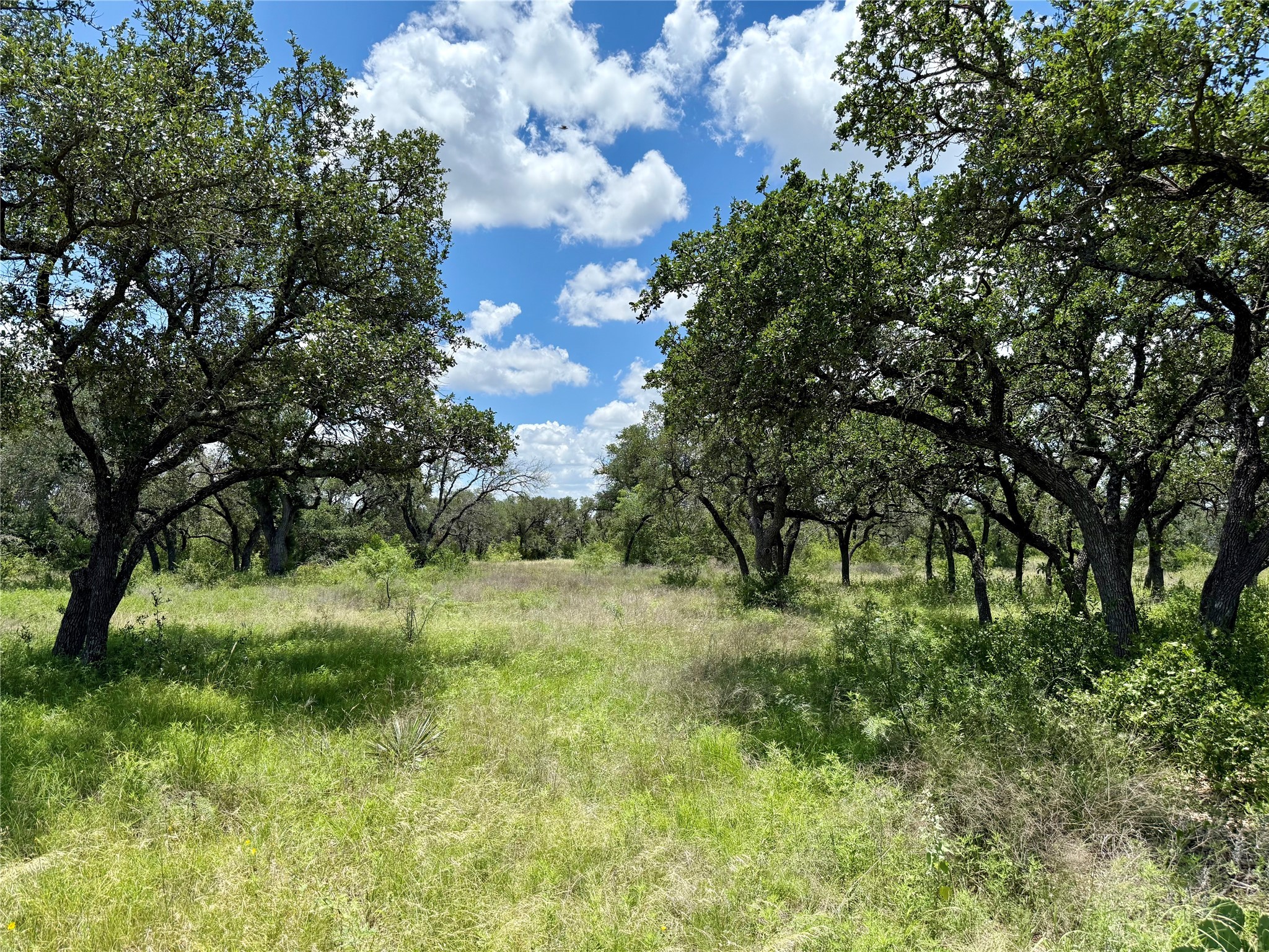 Lot 39 Pecan Valley Drive Gustine TX 76455