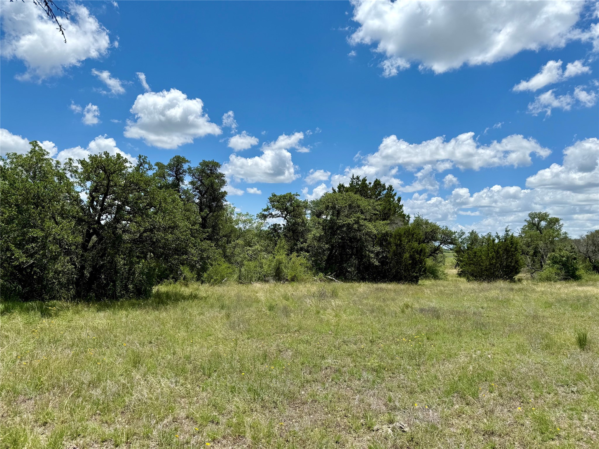 Lot 39 Pecan Valley Drive Gustine TX 76455
