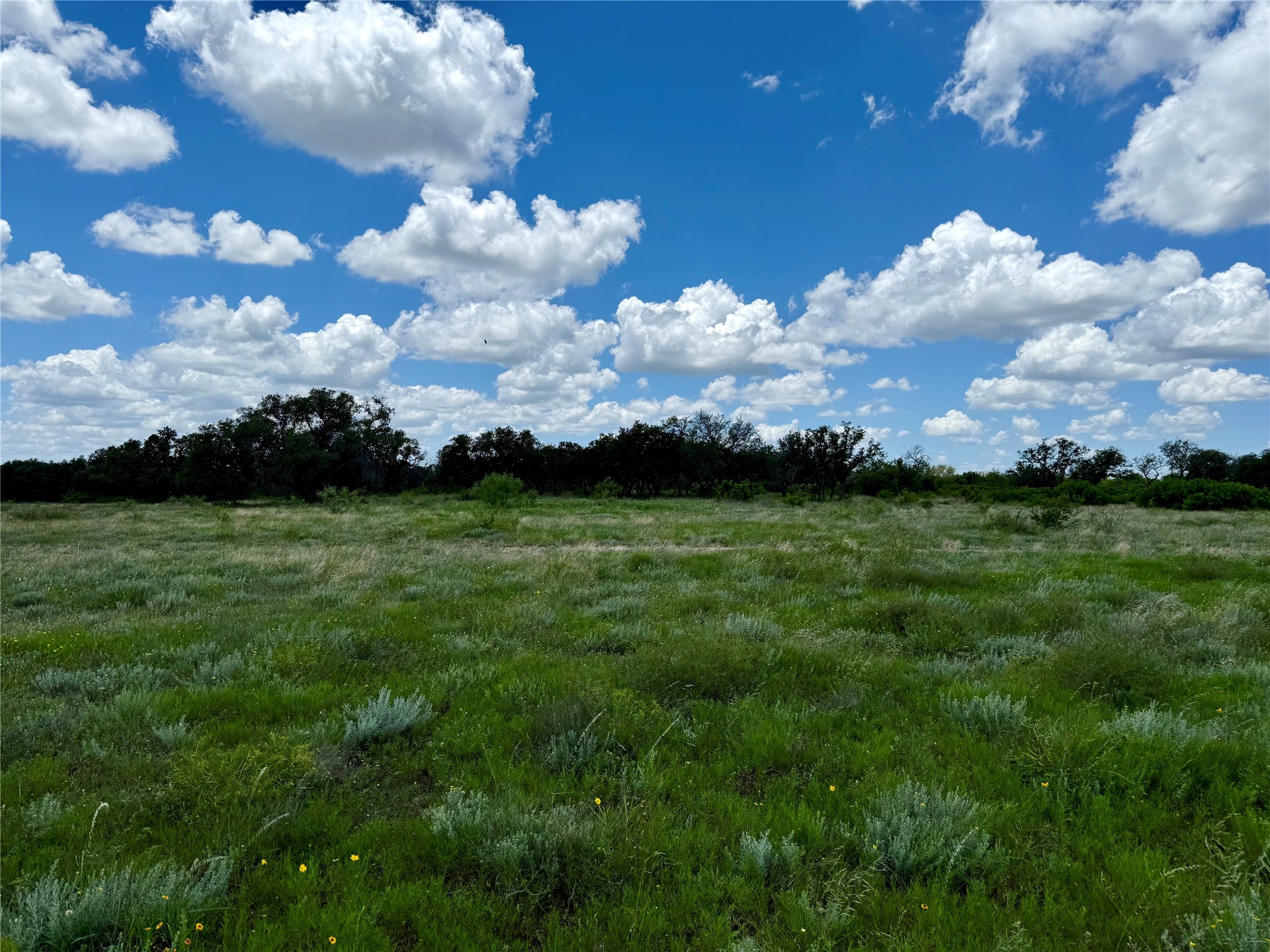 Lot 39 Pecan Valley Drive Gustine TX 76455