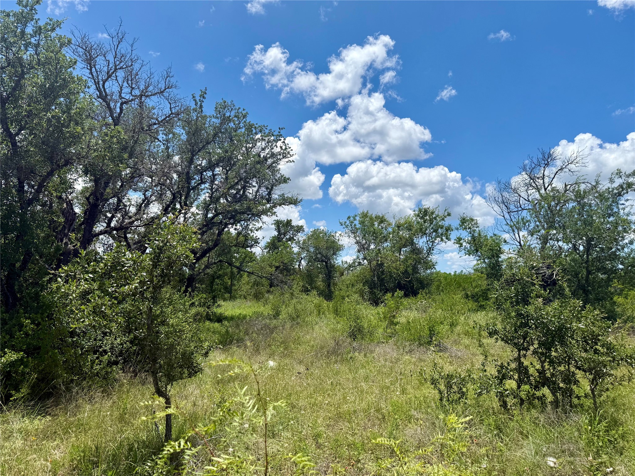 Lot 39 Pecan Valley Drive Gustine TX 76455